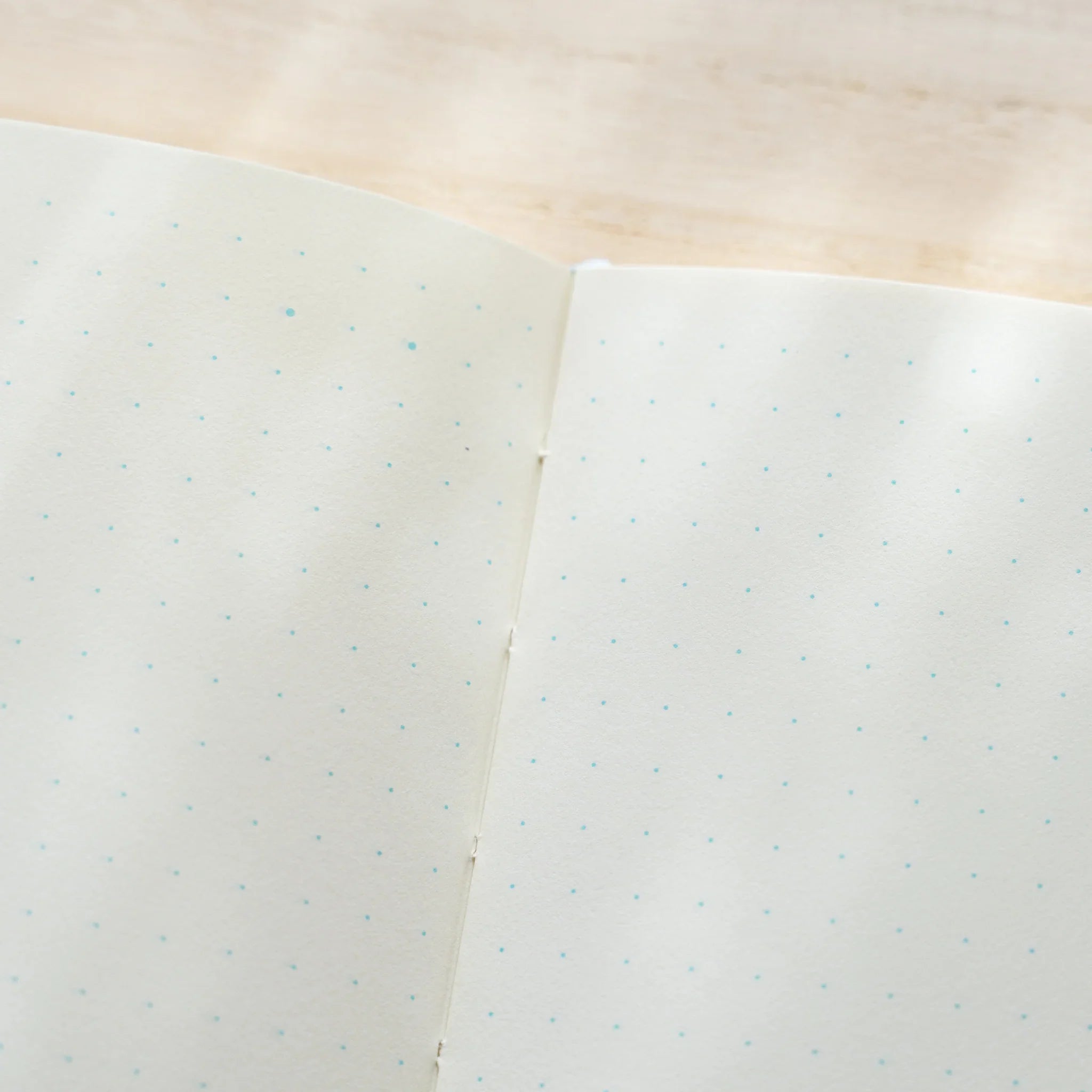 Midori MD Notebook A5 open to ivory dot grid pages with light teal dots, showing flat-opening and center thread binding