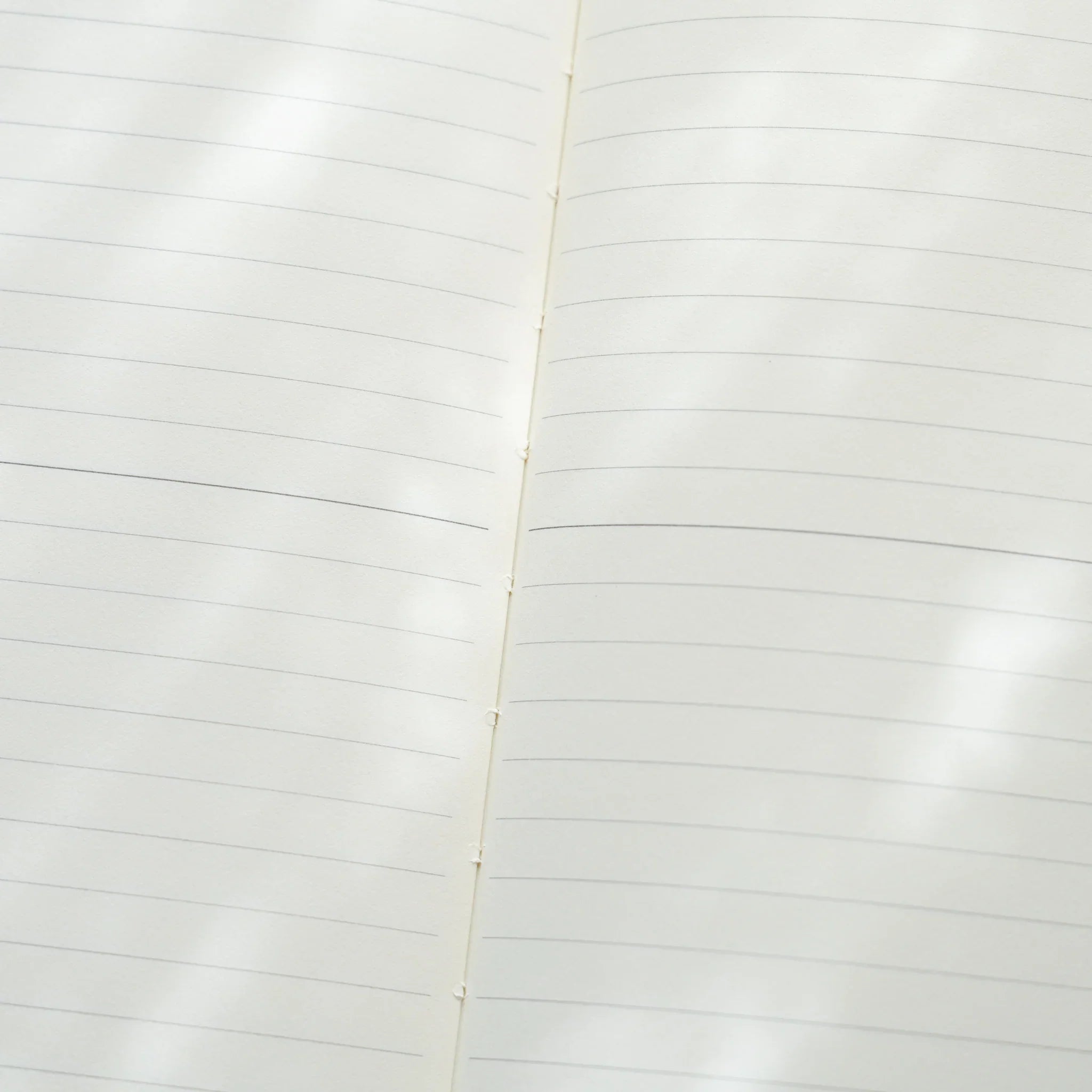 Midori MD Notebook A5 opened to lined spread, close-up showing thread-stitching detail on center spine and ivory lined pages