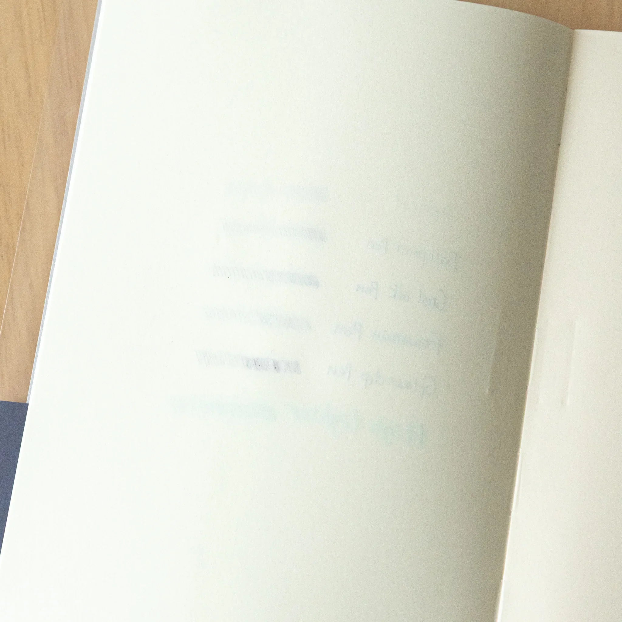 Premium CD fountain pen notebook A5 cream color open displaying organized interior with index pages and fine blue lines