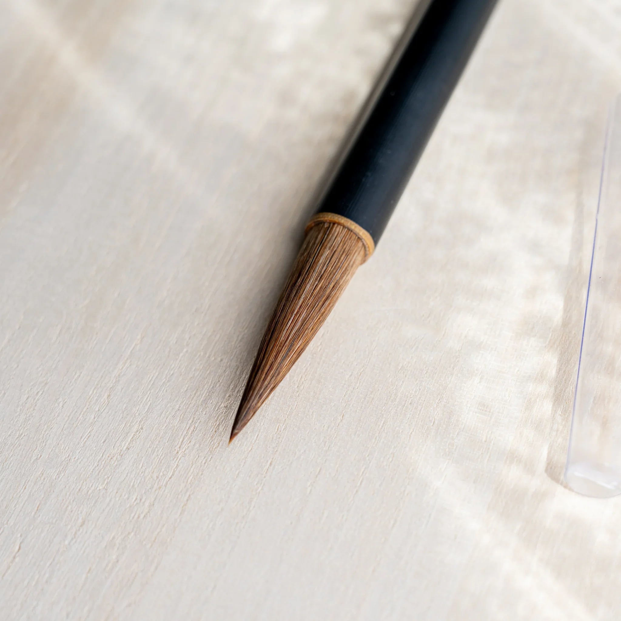 Akashiya Tsuketate painting brush (Large) showing horse-tail and tanuki hair bristle that holds dark and light ink in one stroke