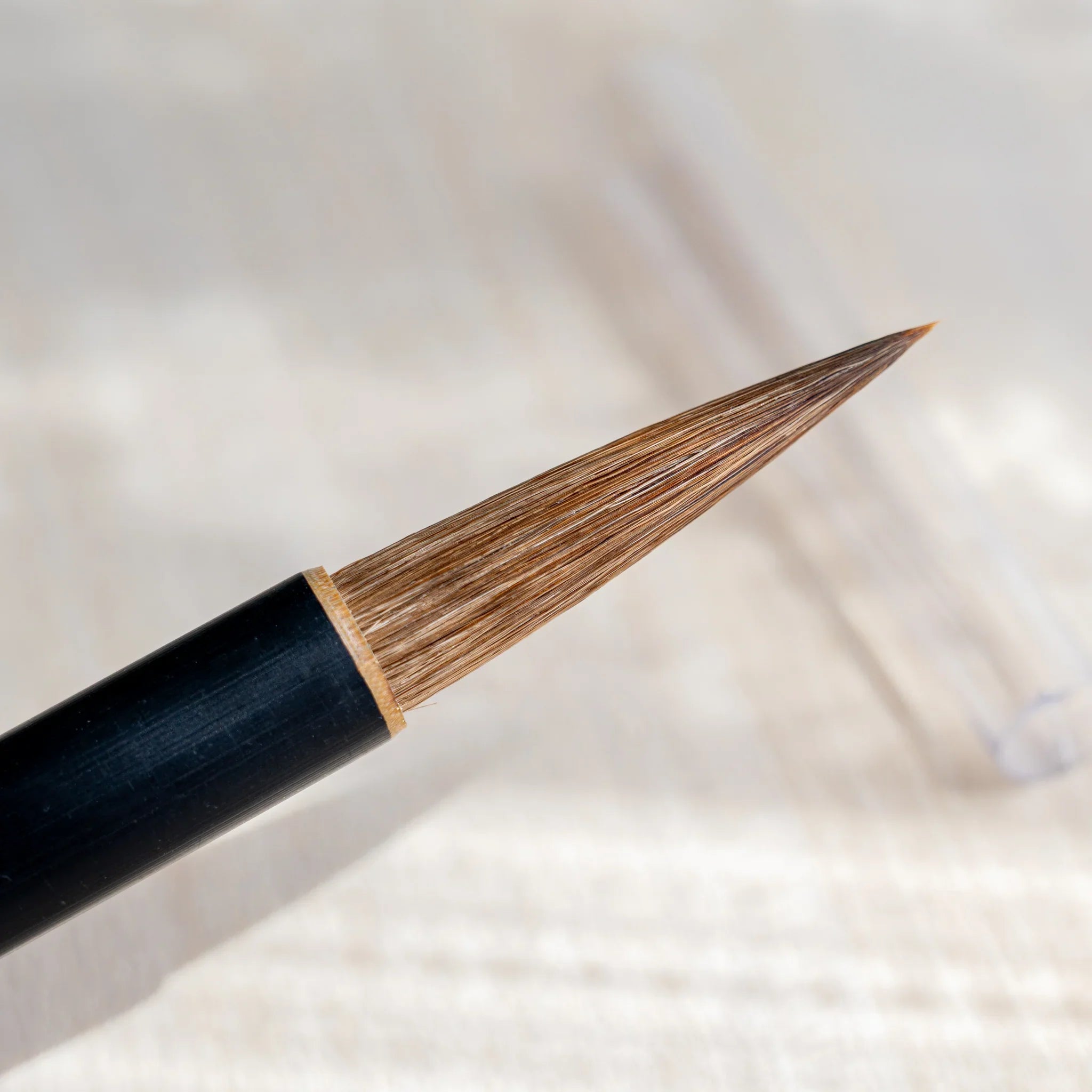 Akashiya Tsuketate painting brush (Large) with protective clear plastic cap on black handle, label reading 付立筆 (tsuketate fude)