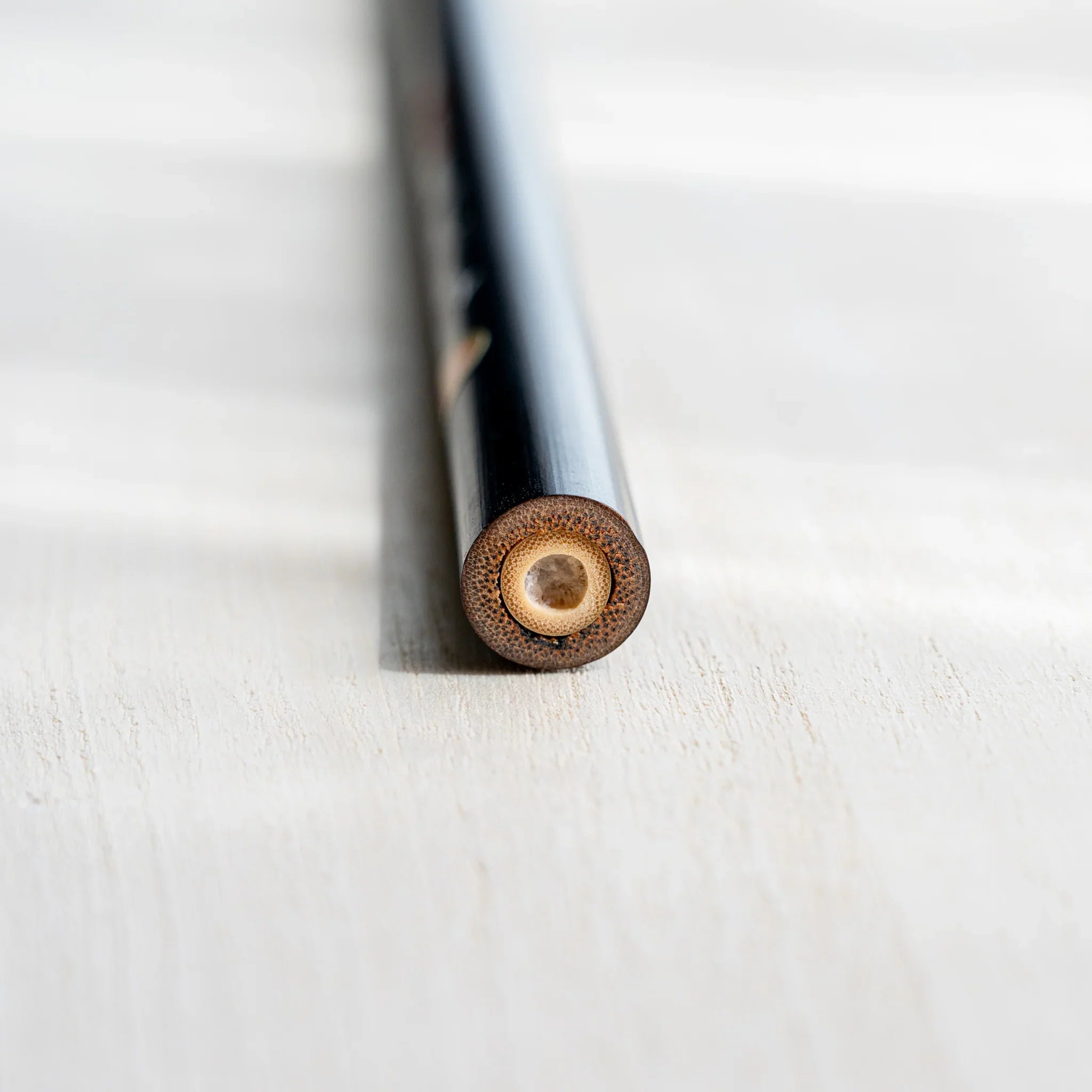 Akashiya Tsuketate painting brush (Small) close-up of the bristle pack and ferrule