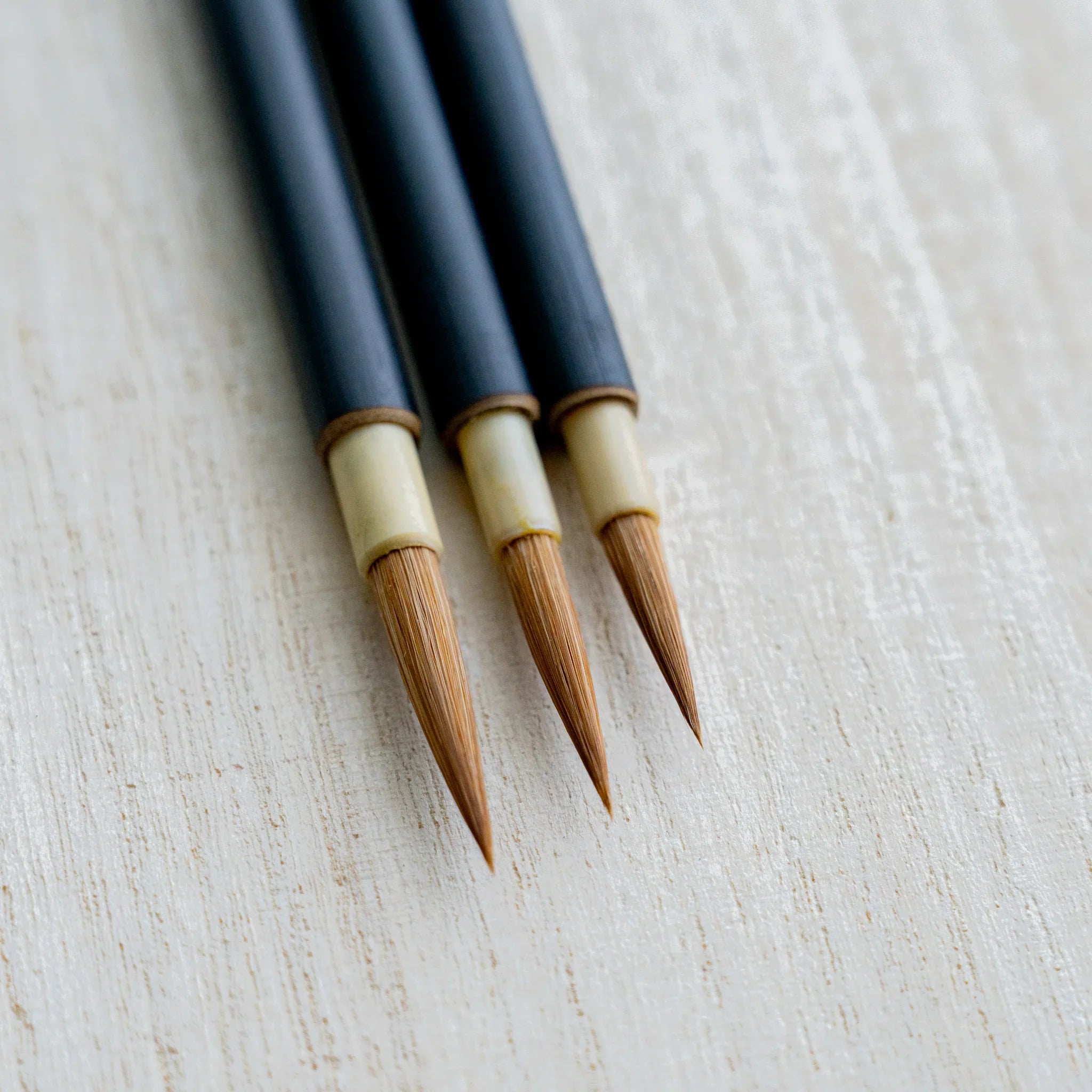 Akashiya Menso brush close-up of the bristle and ferrule