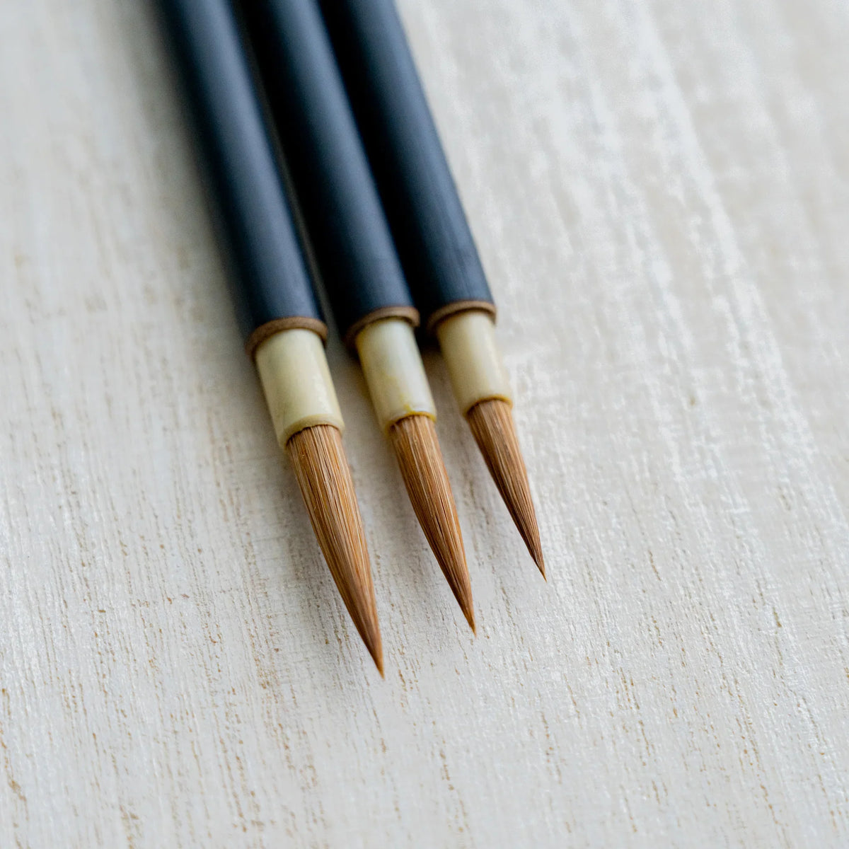 Akashiya Menso brush close-up of the bristle and ferrule