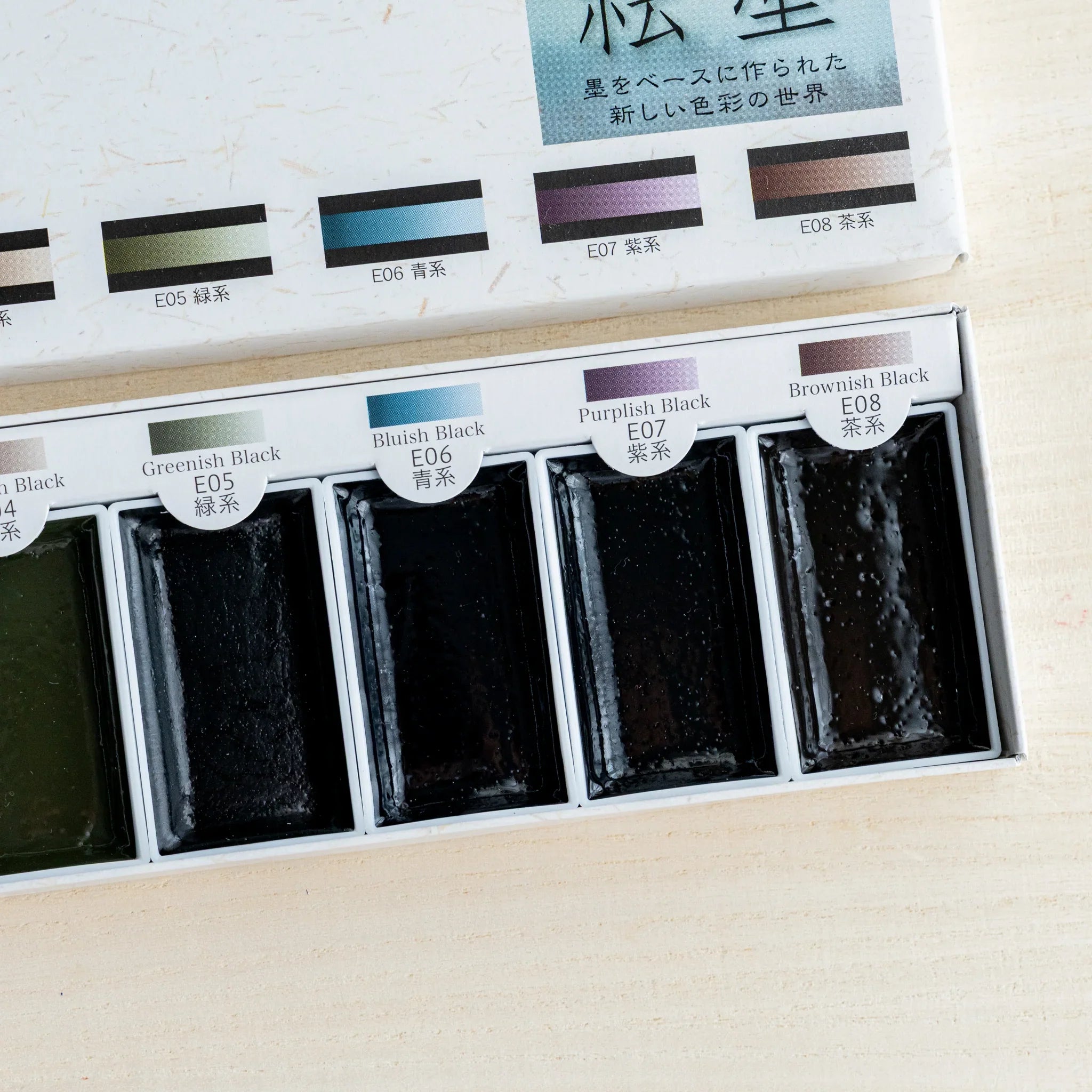 Close-up right half of open Shadow Black sumi ink watercolor box showing five dark pans labeled E04 to E08