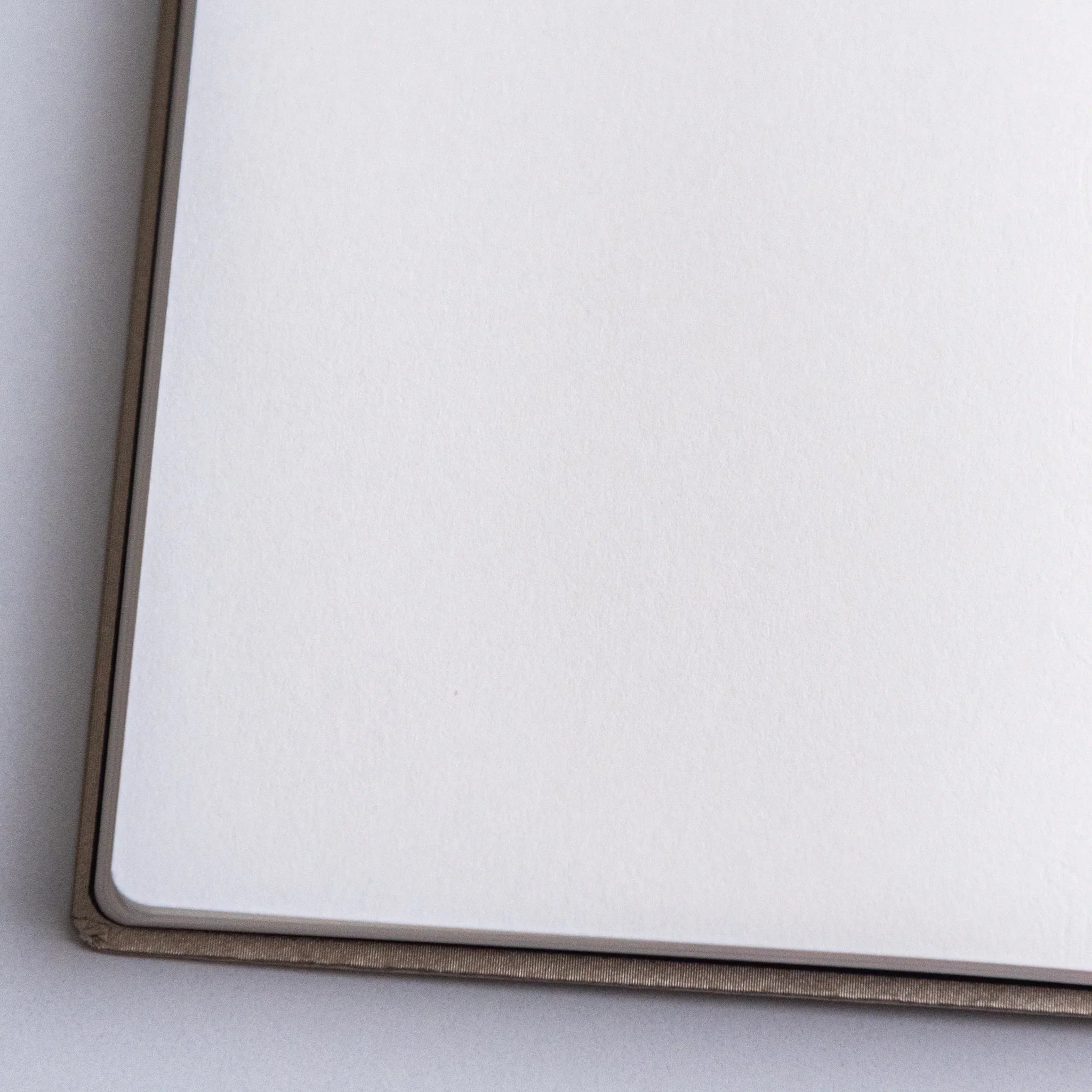 Close-up of blank page corner of Dressco Bank Ledger Paper Japanese Notebook in Lime Gold.