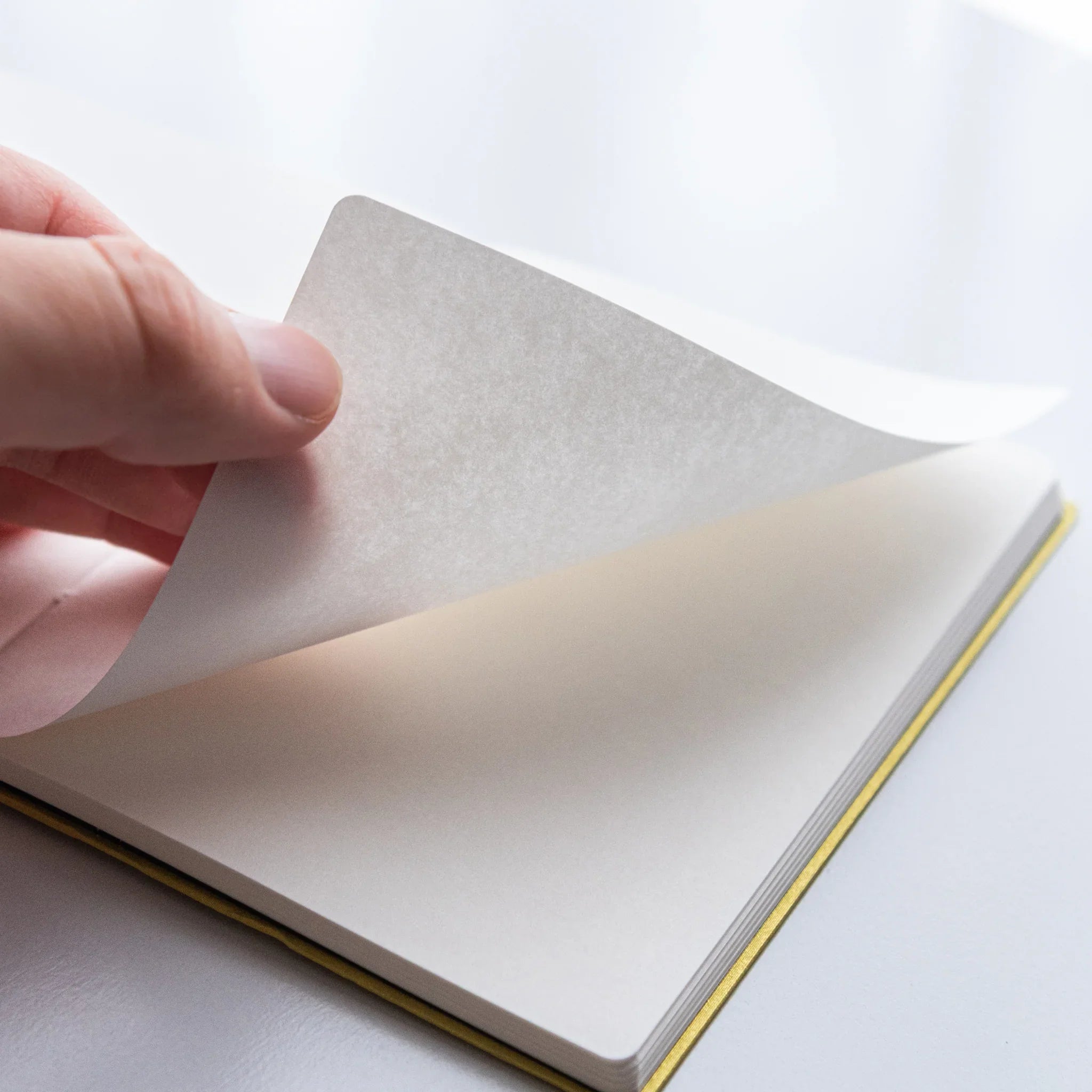 Turning pages of Dressco Bank Ledger Paper Japanese Notebook in Gold showing texture.