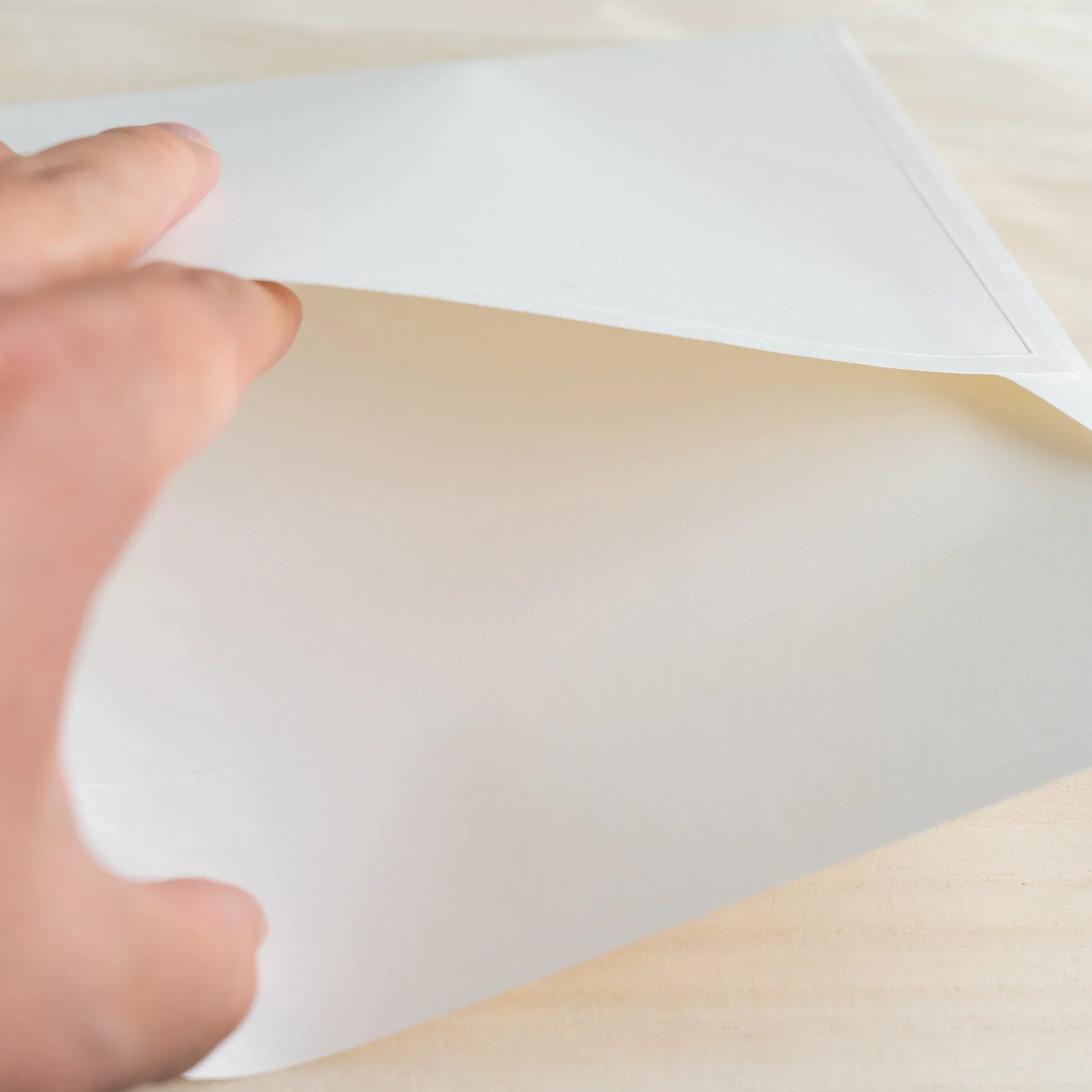 Dressco ivory large embossed envelope image twenty-two, back view showing flap closure, with embossed pattern, set of three