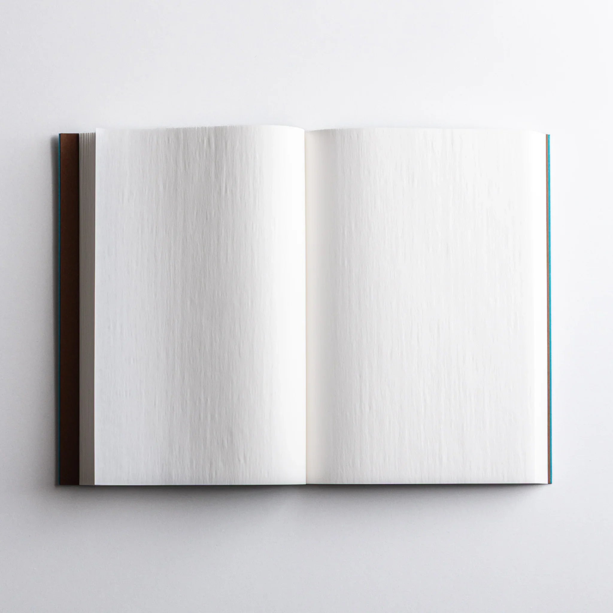 Inside spread of Dressco Blue Onion Skin Japanese Notebook showing thin, crisp white onion-skin pages.