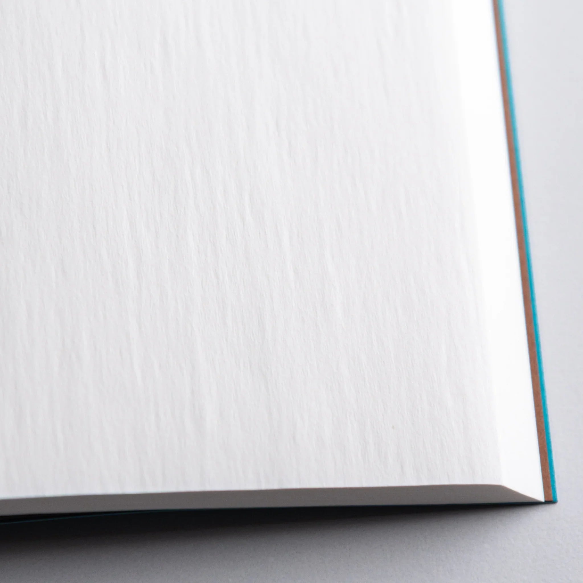 Close-up of textured pale blue onion-skin pages from Dressco Blue Onion Skin Japanese Notebook.