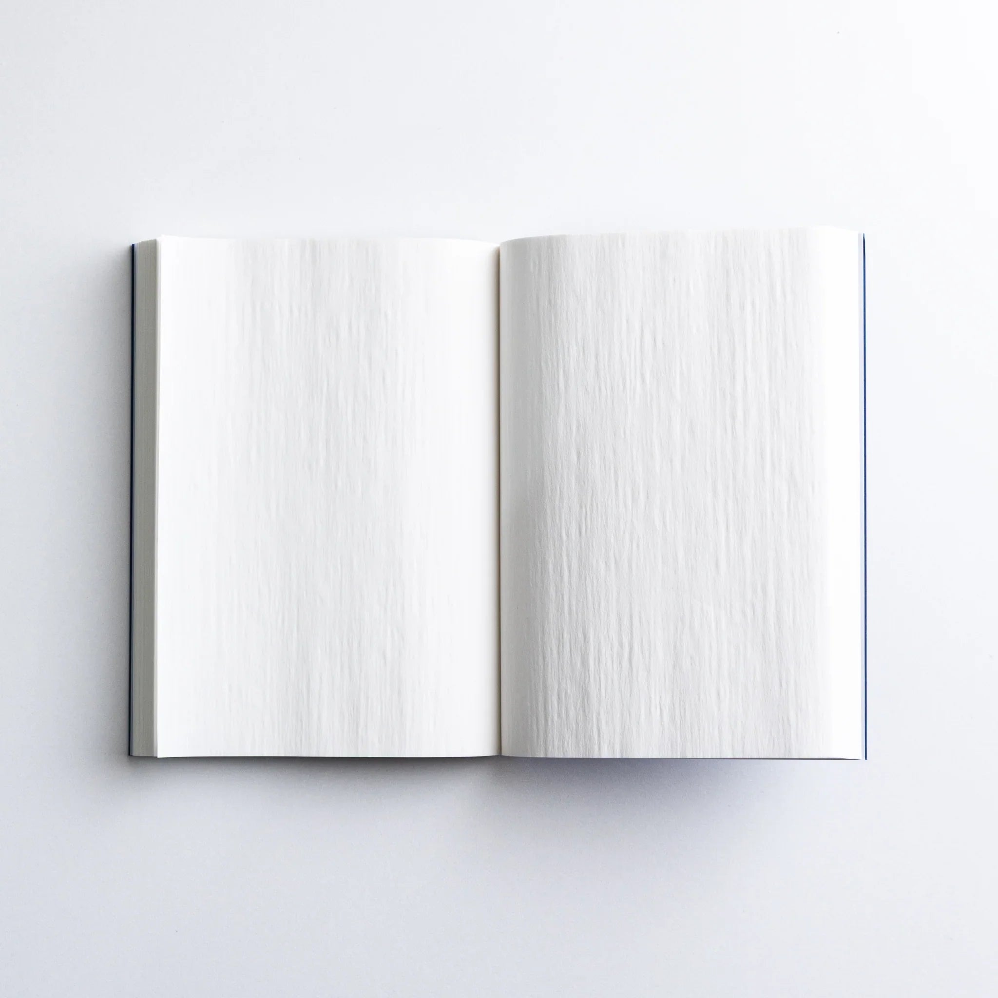 Inside spread of Dressco Blue Onion Skin Japanese Notebook A6 showing crisp onion-skin texture.