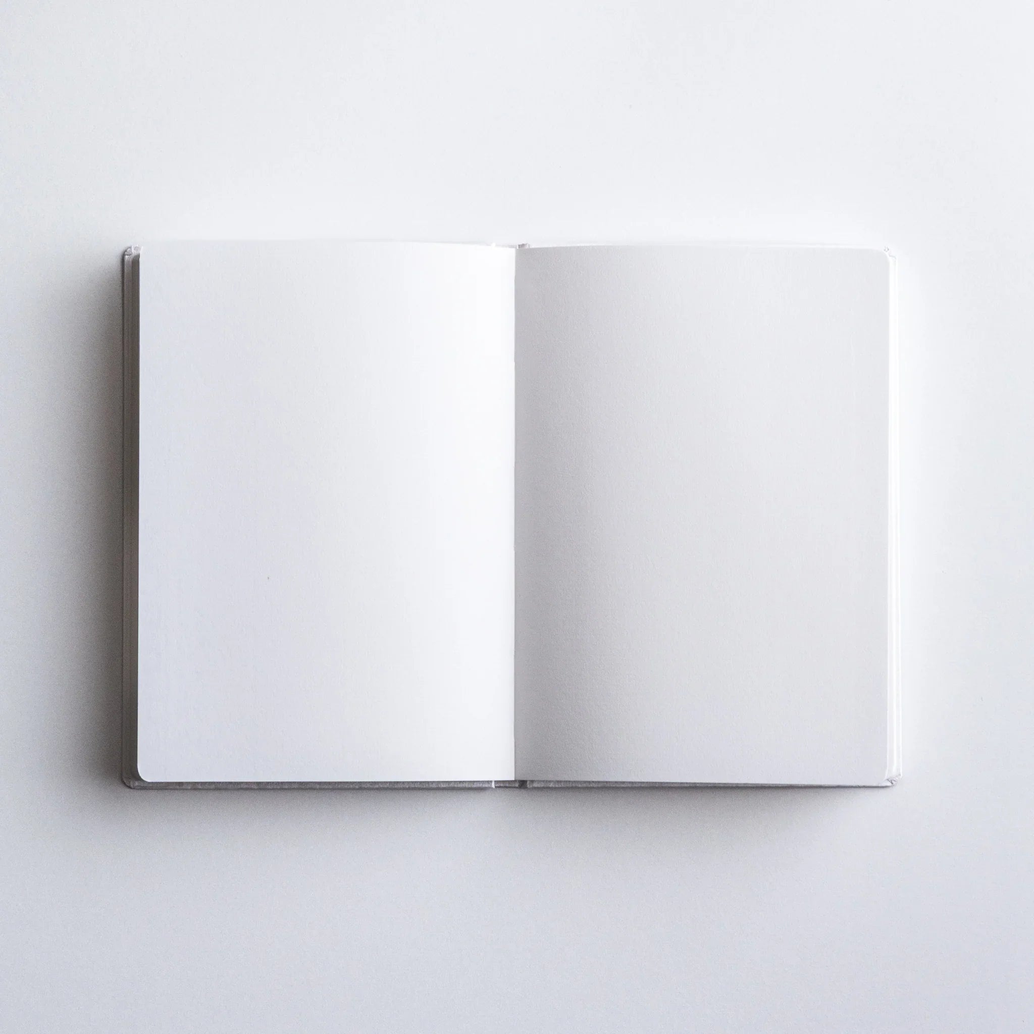 Open Dressco Spica Laid Bond Paper Japanese Notebook in Platinum with blank pages.