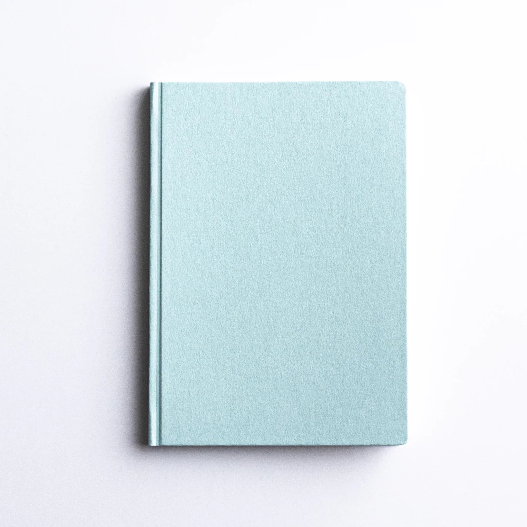 Minimalist top view of Dressco Spica Laid Bond Paper Japanese Notebook in Willow Green.