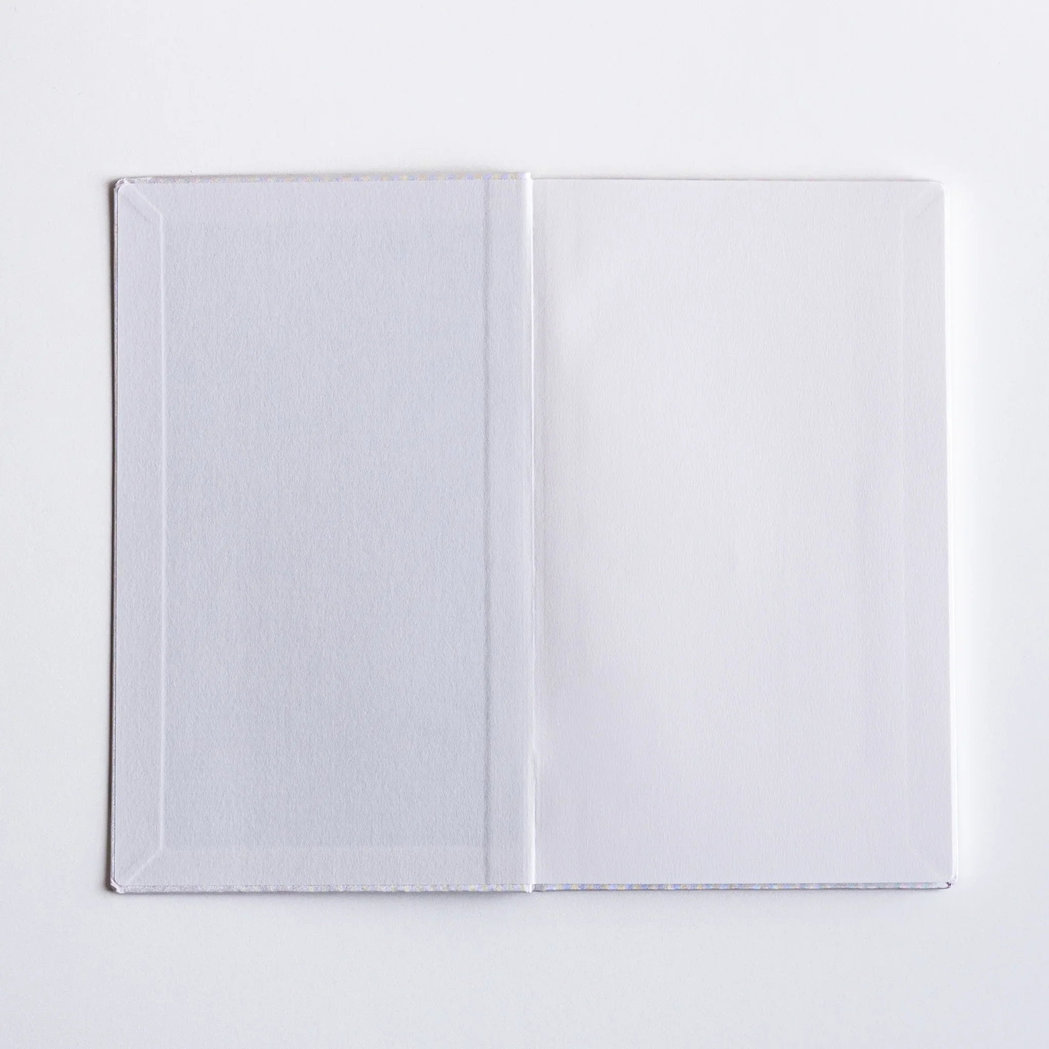 Inside cover of Dressco Spica Laid Bond Japanese Notebook B6 with clean white endpapers.