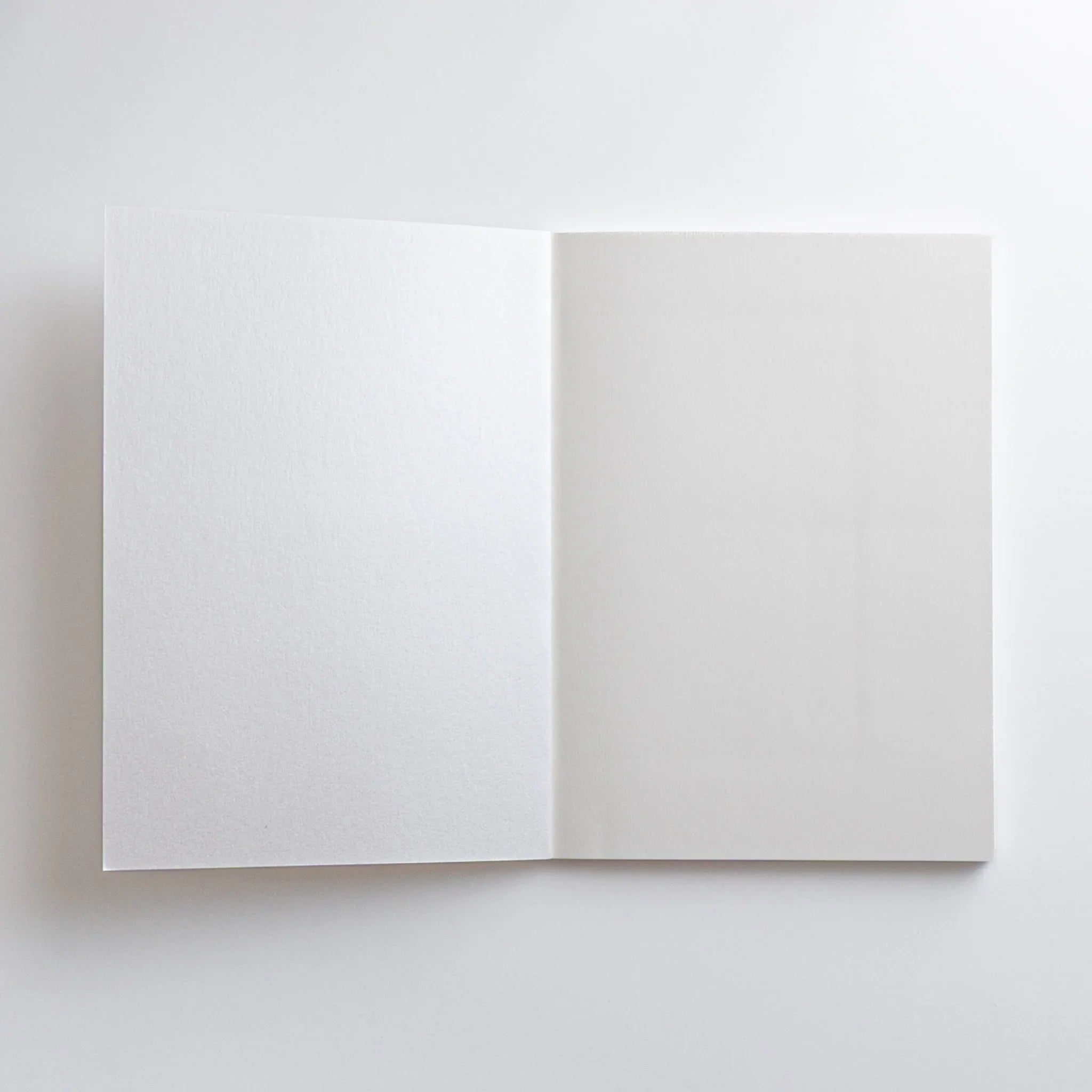Open Dressco White Onion Skin Japanese Notebook B6 with white pages.