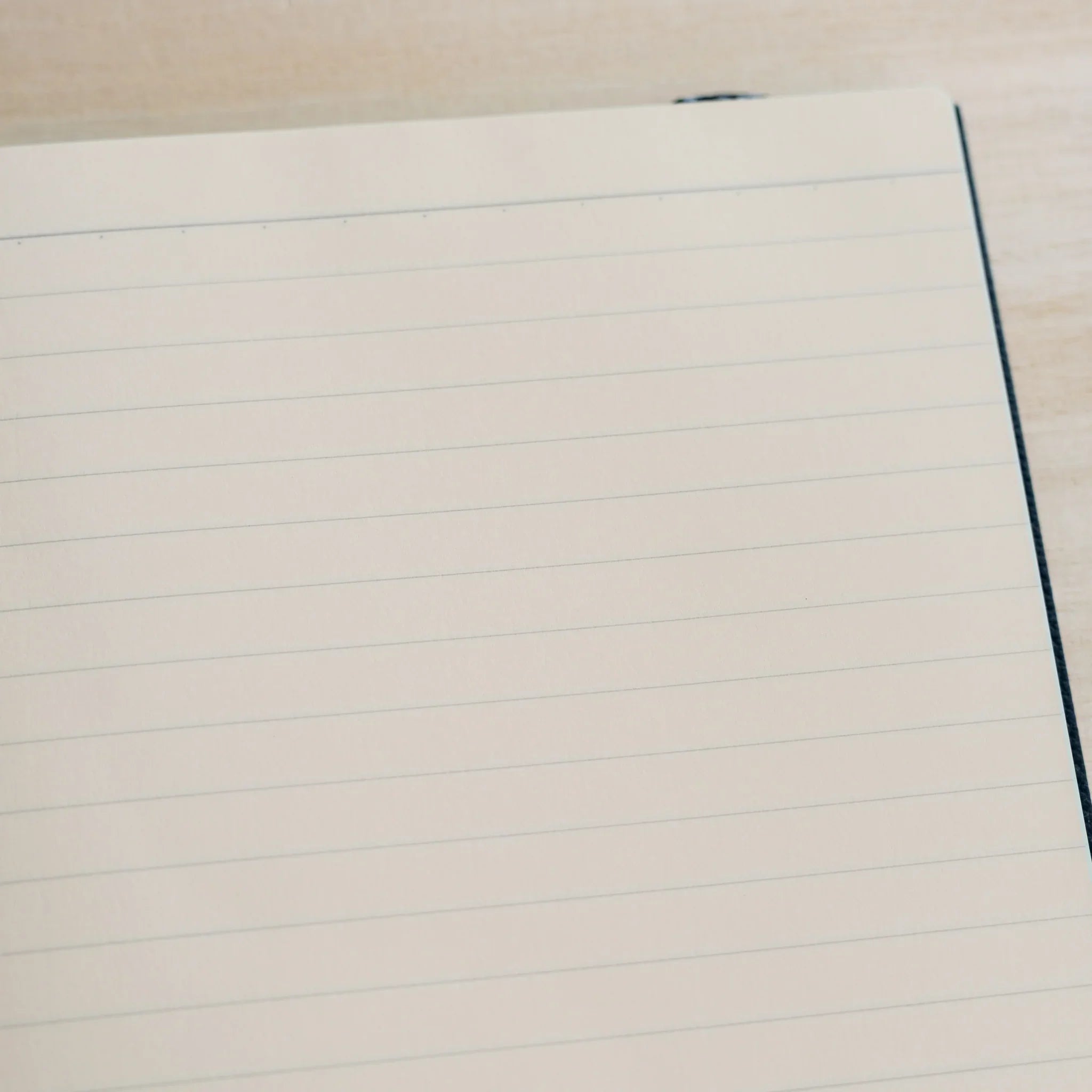 Life Noble A5 planning notebook, open view showing leather cover with spine visible