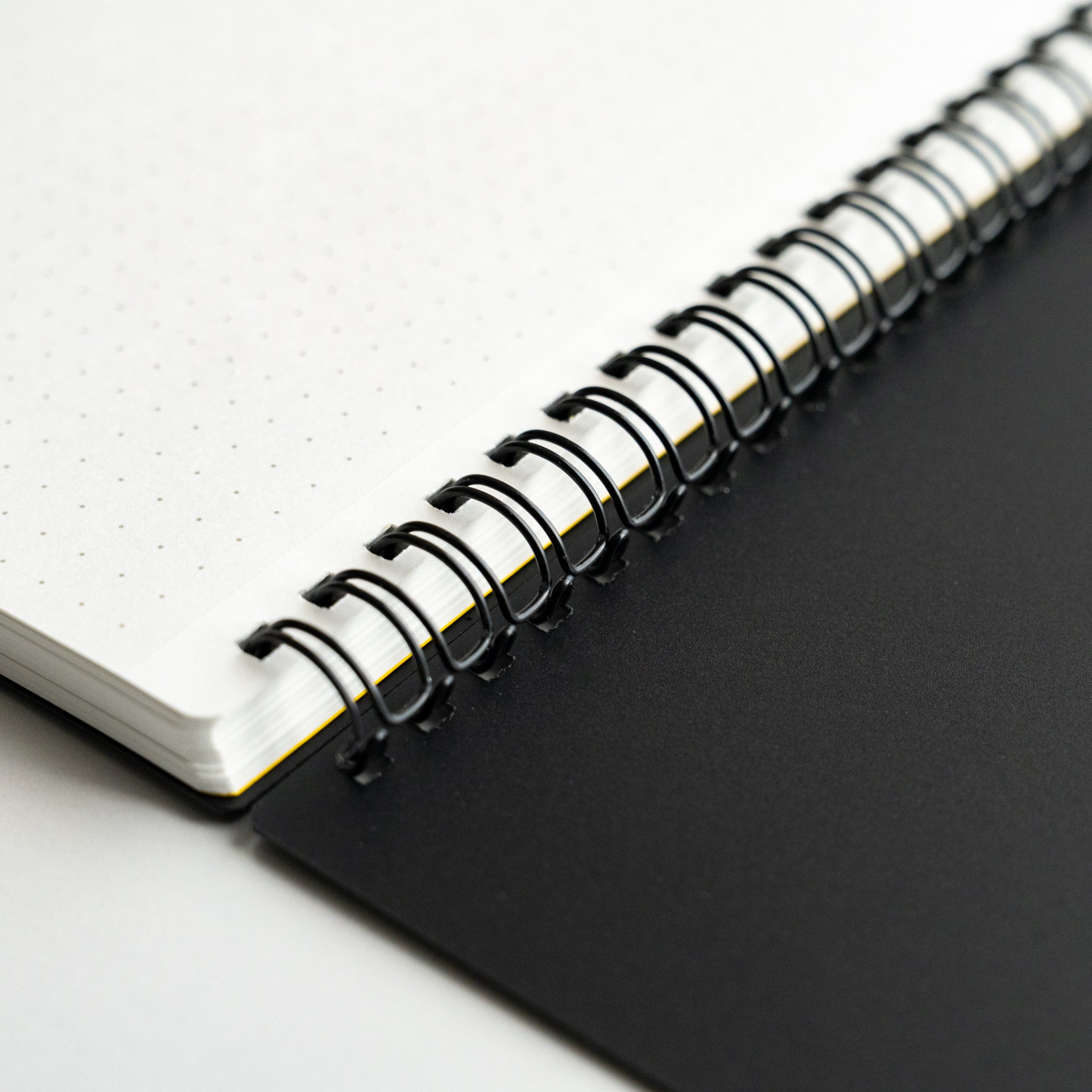 Maruman Mnemosyne 5 mm Dot Grid Notebook (A5, B5, A4)