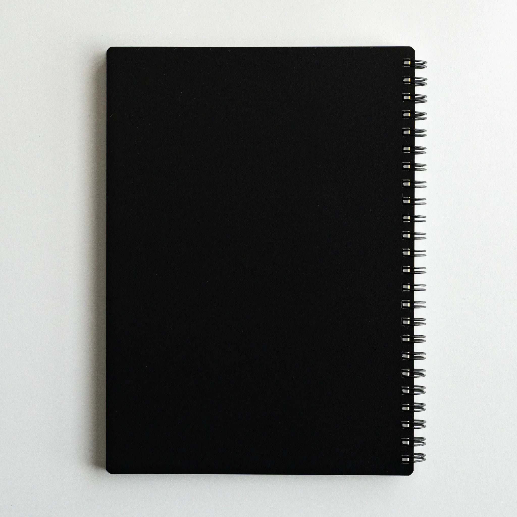 Maruman Mnemosyne notebook, cover interior showing endpapers, A5 5mm dot grid Mnemosyne notebook by Maruman for organized