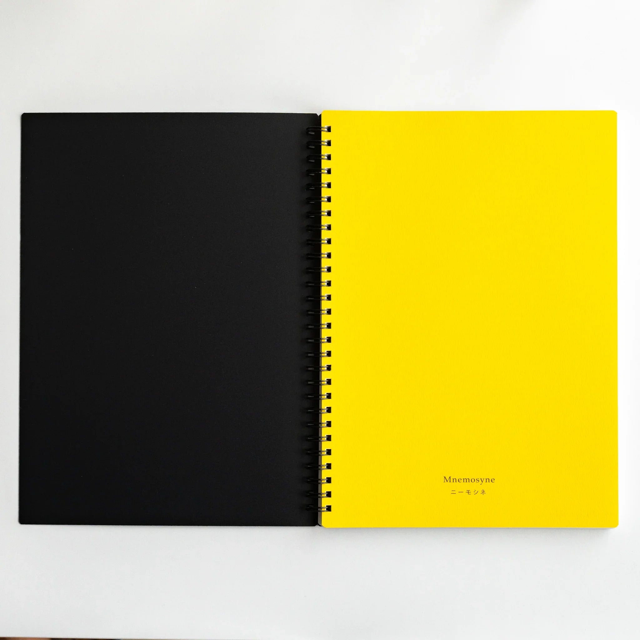 Maruman Mnemosyne notebook, flat lay displaying open pages with dots, Japanese Maruman Mnemosyne A5 5mm dot grid notebook