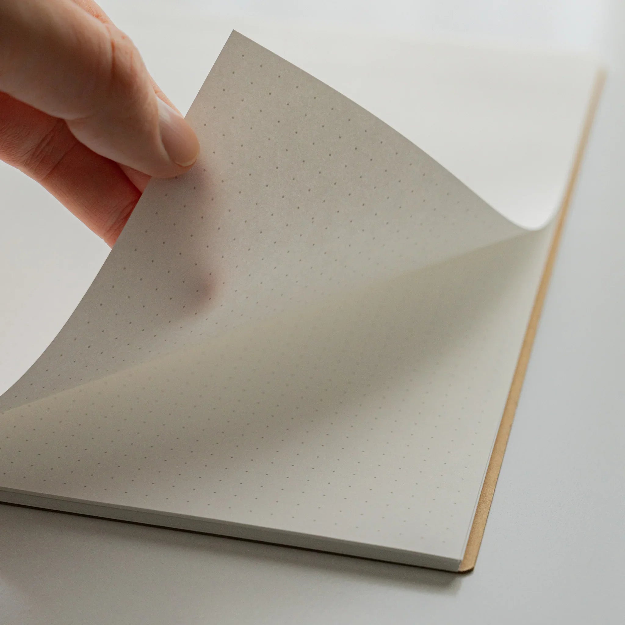 Maruman Mnemosyne notebook, opened showing full dot grid pattern, Maruman Mnemosyne Japan A5 dot grid notepad with perforated