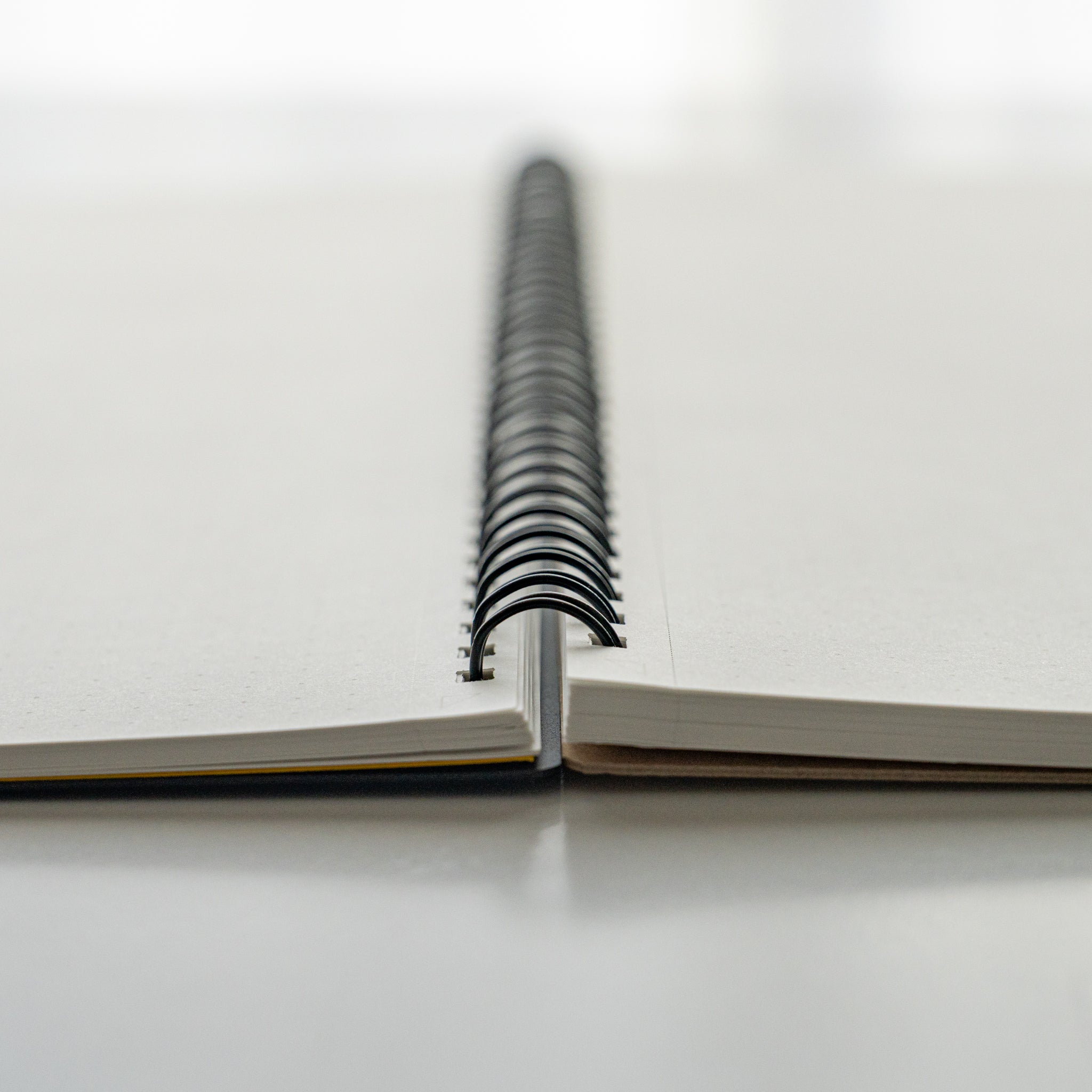 Maruman Mnemosyne 5 mm Dot Grid Notebook (A5, B5, A4)