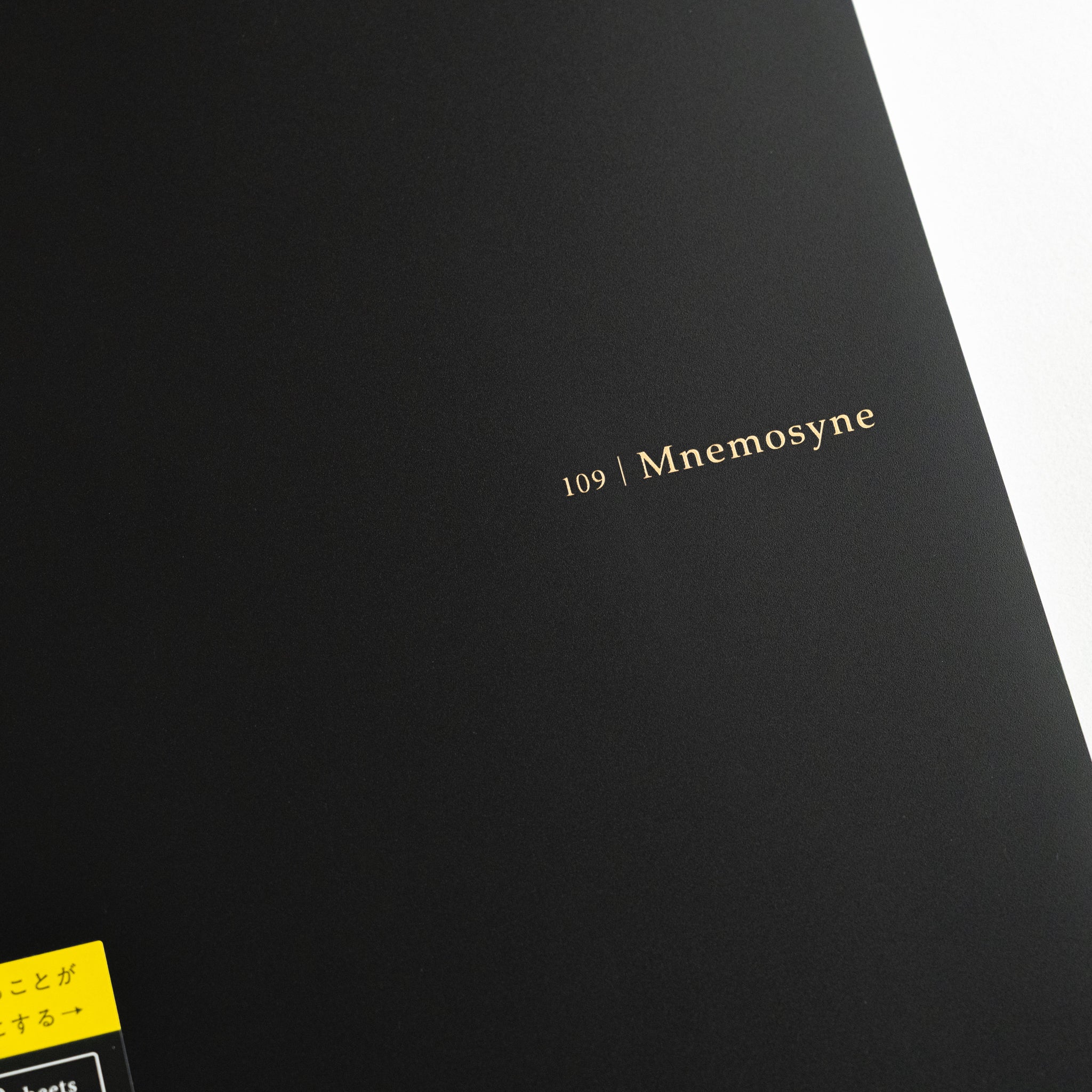 Maruman Mnemosyne 5 mm Dot Grid Notebook (A5, B5, A4)