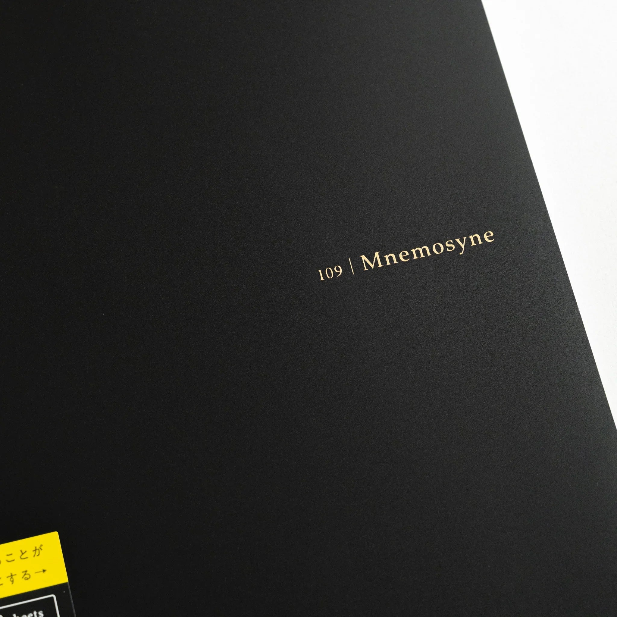 Maruman Mnemosyne notebook, detail of dot grid and margins, Japanese Mnemosyne A5 5mm dot grid pad with smooth paper for