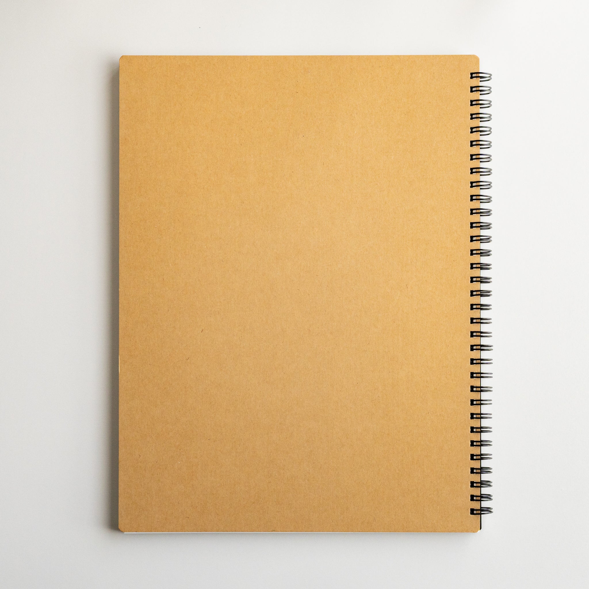 Maruman Mnemosyne 5 mm Dot Grid Notebook (A5, B5, A4)