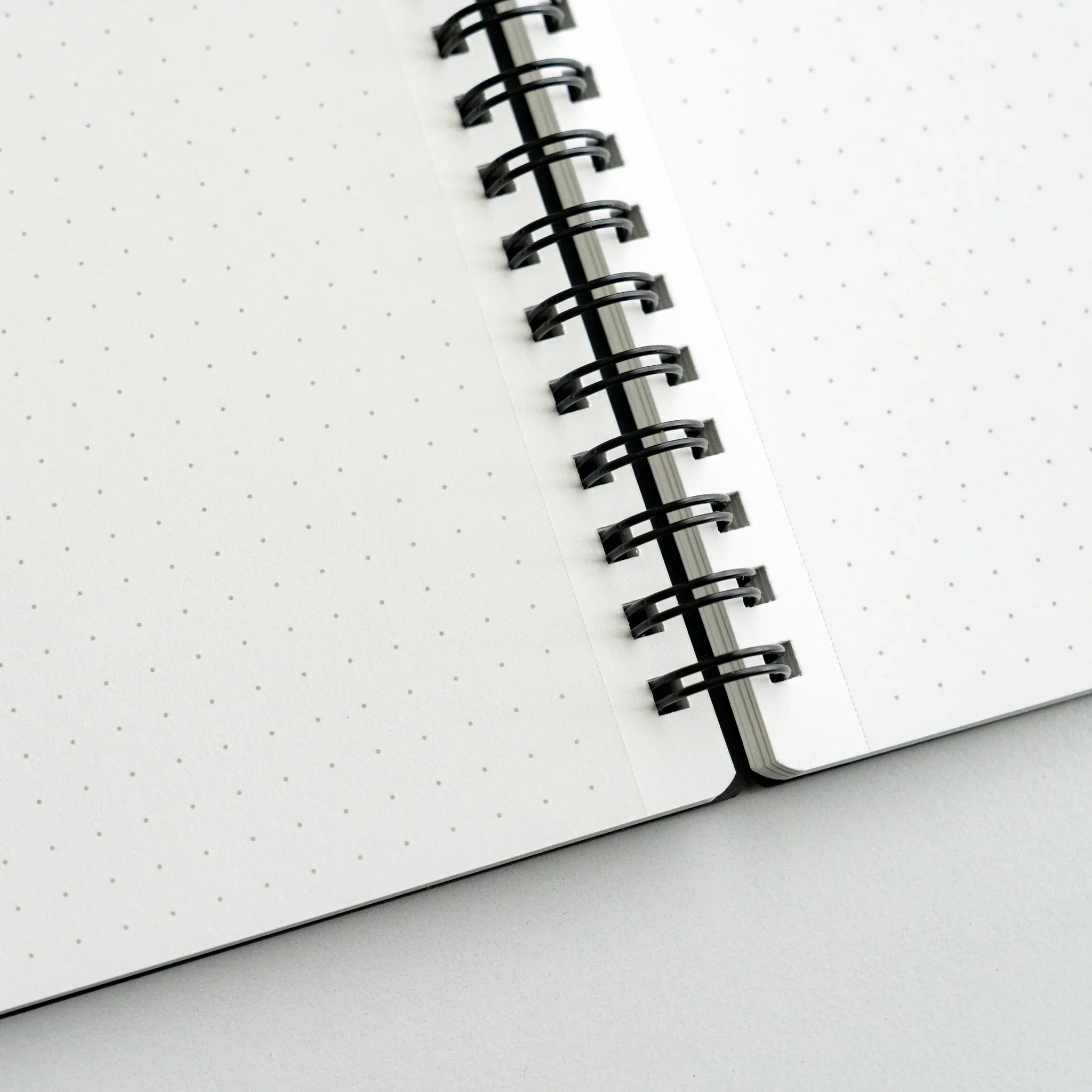Maruman Mnemosyne notebook, spread showing multiple dot grid pages, Maruman Mnemosyne dot grid pad with detachable pages for