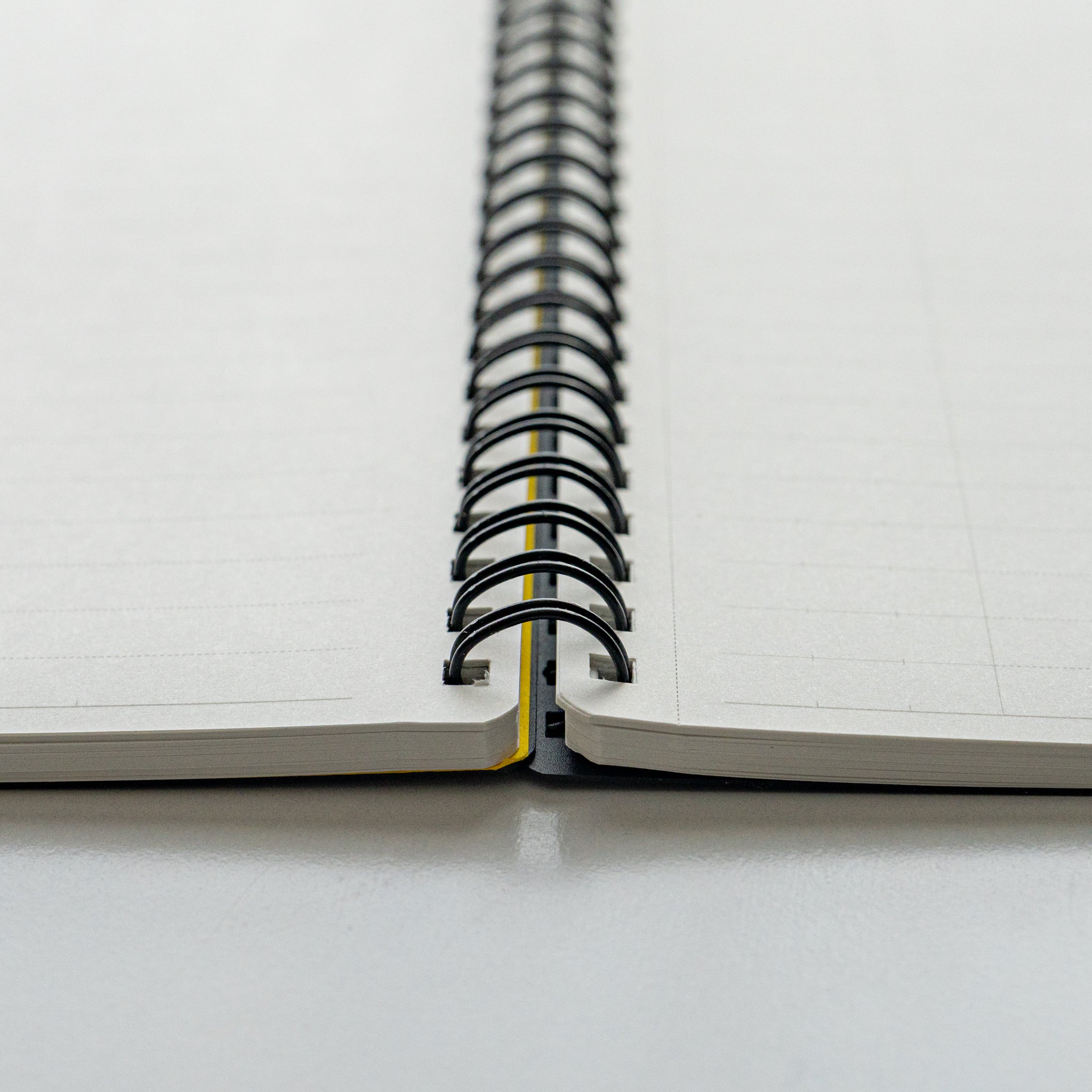 Open Maruman Mnemosyne lined notebook with twin-ring binding and smooth ivory paper, ideal for neat writing.