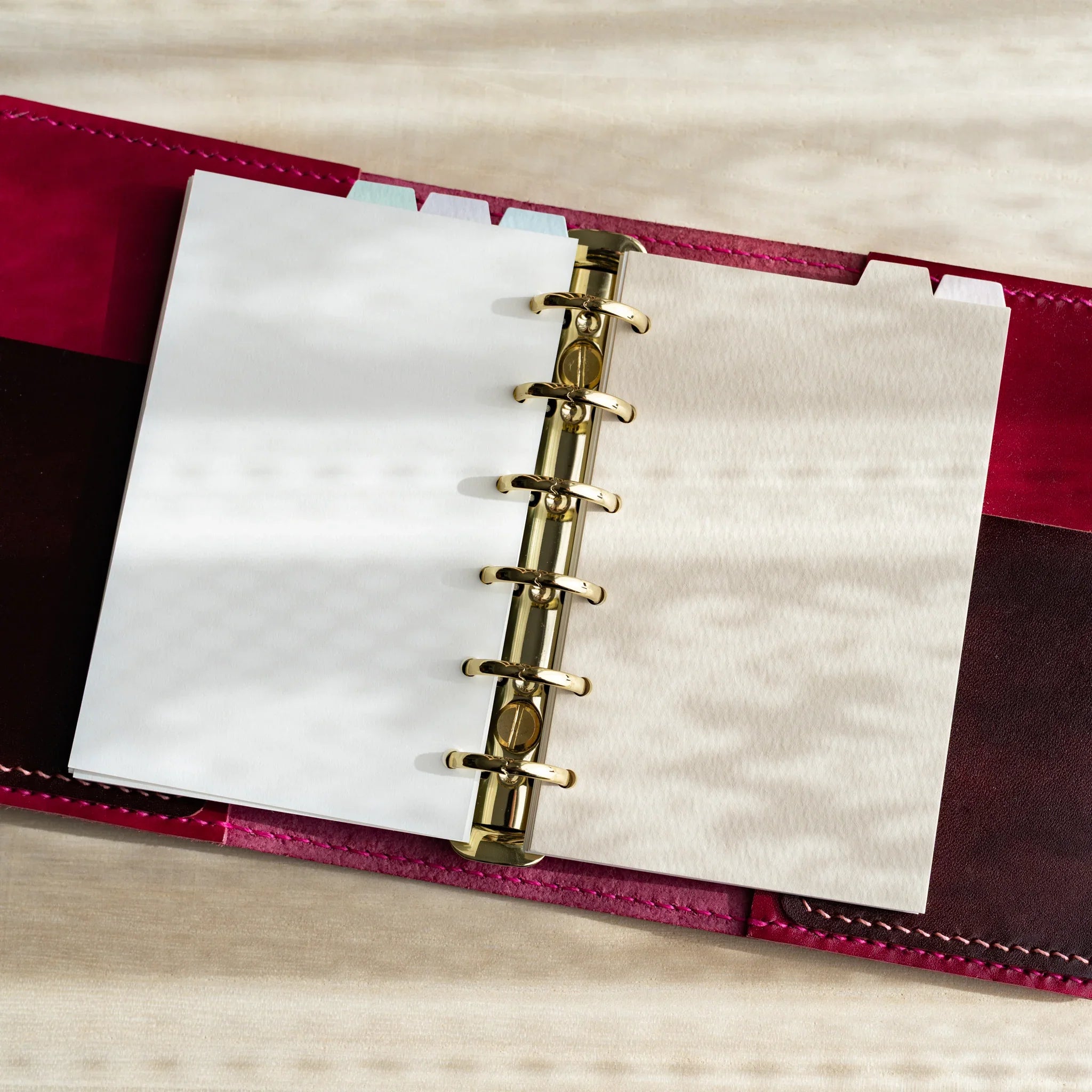 All five dividers displayed together and features and features and features and features and features