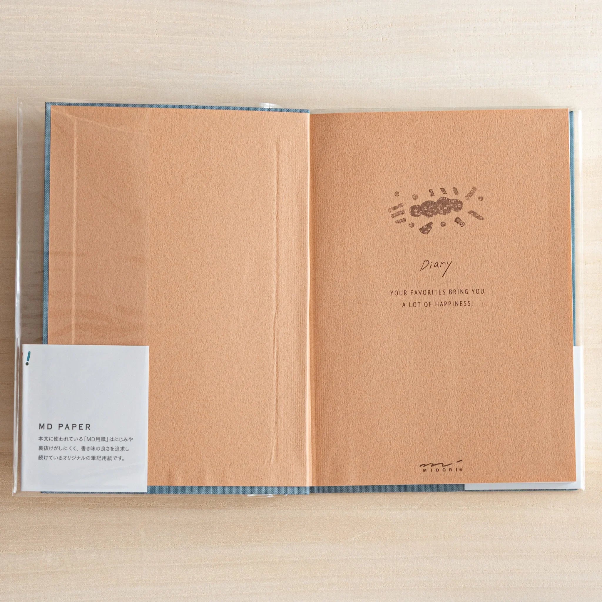 Sample page displaying date entries and journaling format and features and features and features and features