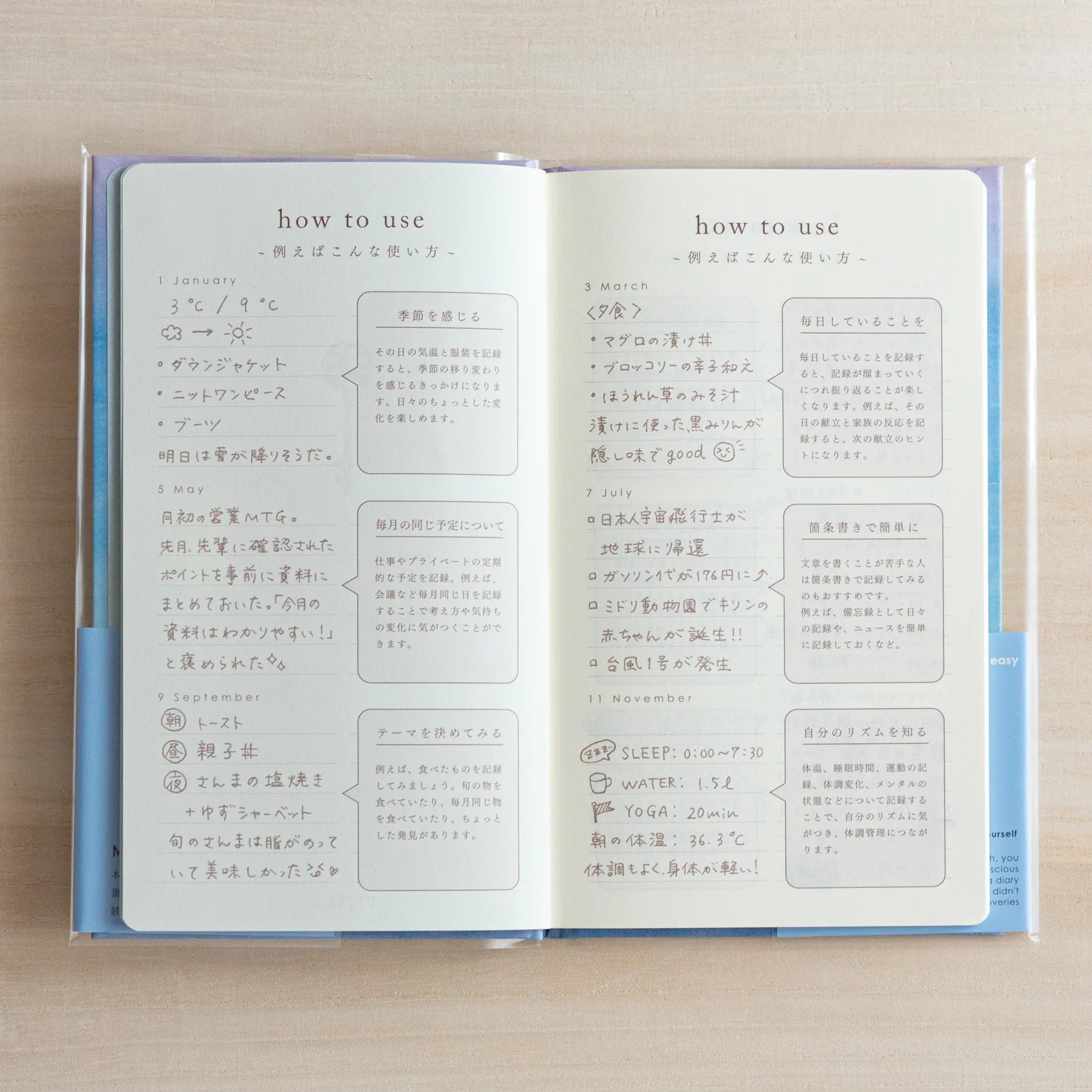 Monthly diary back cover showing memo section with decorative geometric pattern border design throughout