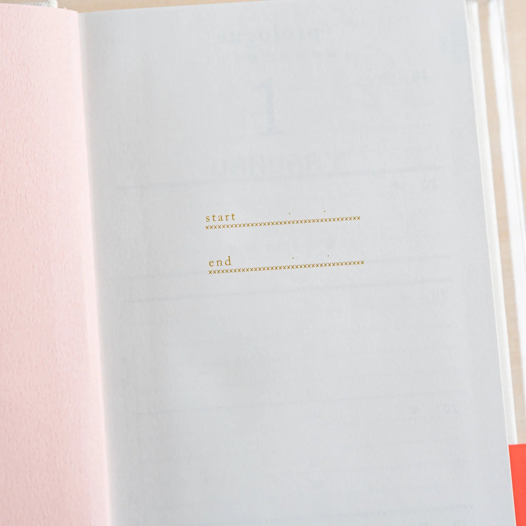 Midori 5-year journal, interior pages showing date field structure with ruling, Japanese stationery item with quality