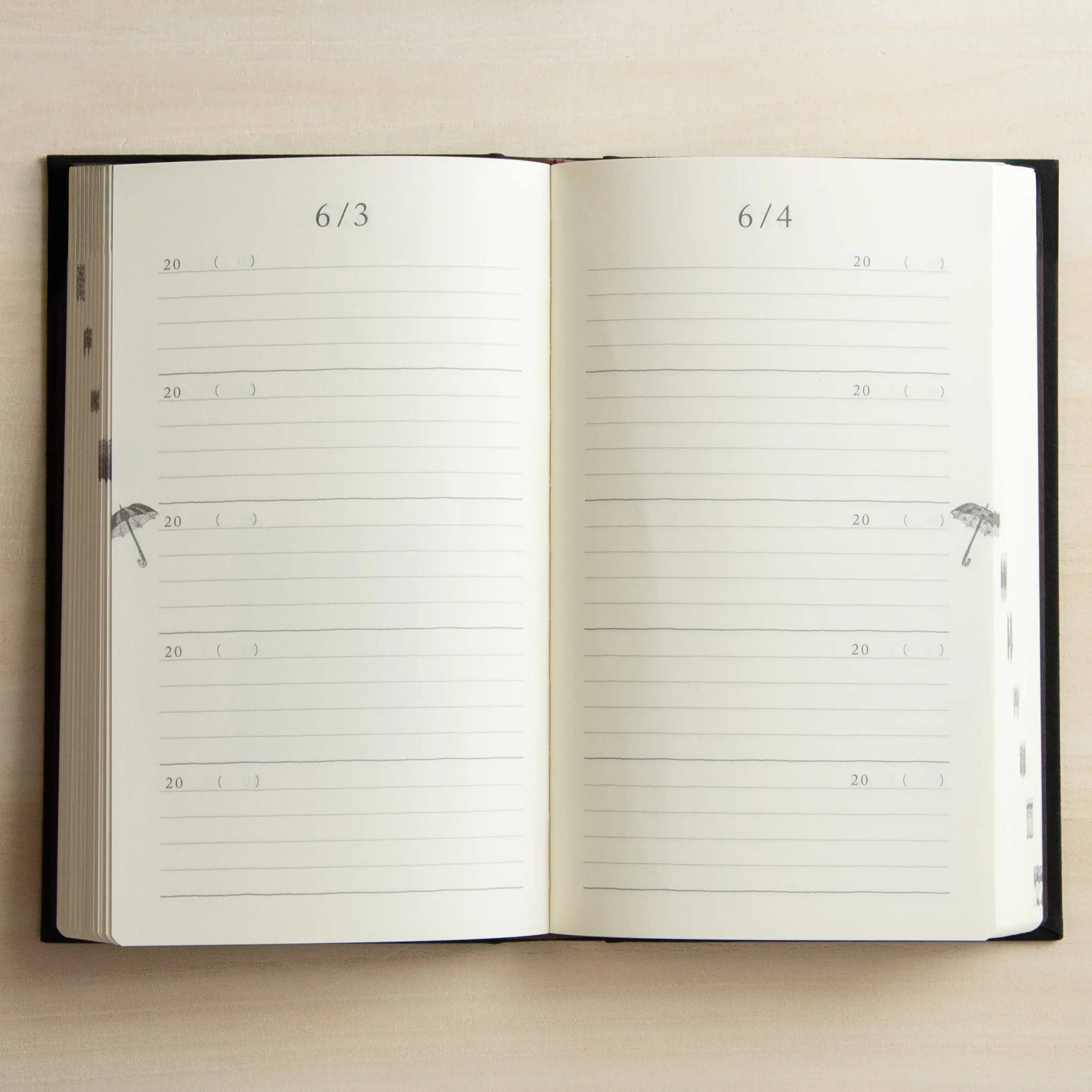 Midori 5-year journal, detail showing ribbon bookmark and binding quality, Japanese stationery with quality materials and