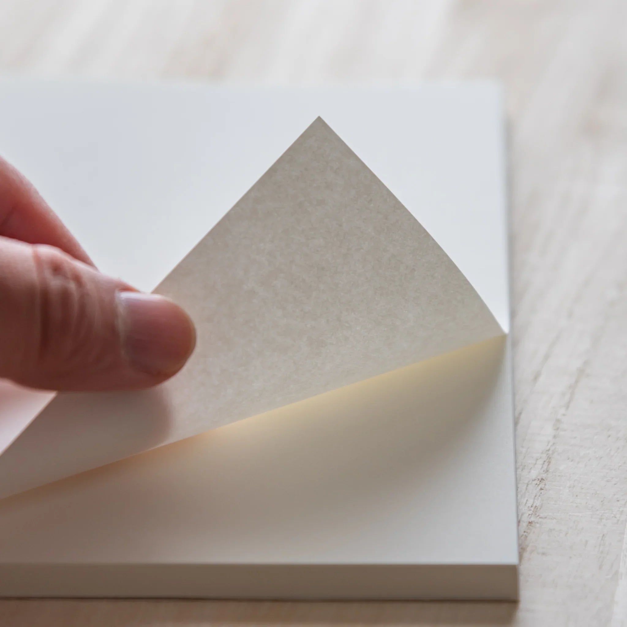 Page texture shown indicating cotton paper and features and features and features and features and features