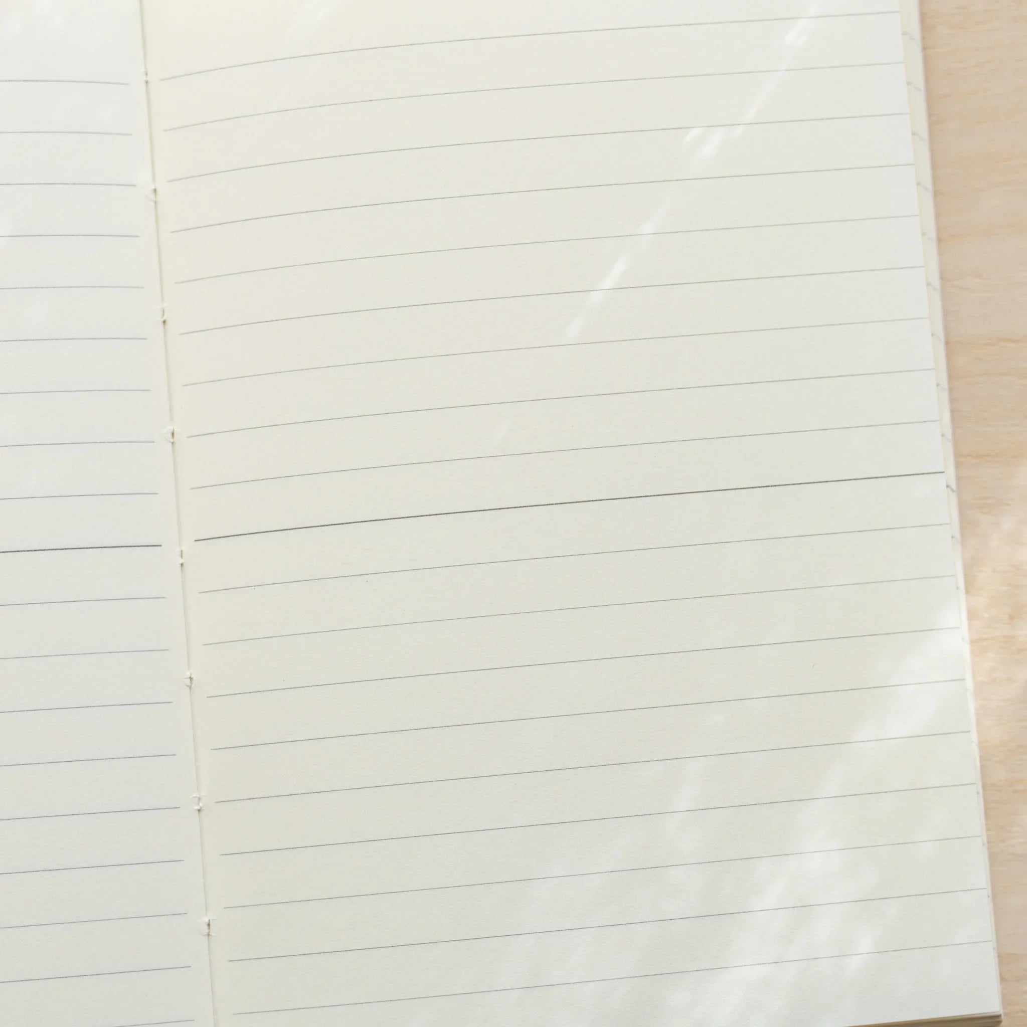 Midori MD Notebook A6 Lined open spread close-up, ivory pages with evenly spaced horizontal ruled lines, center spine visible