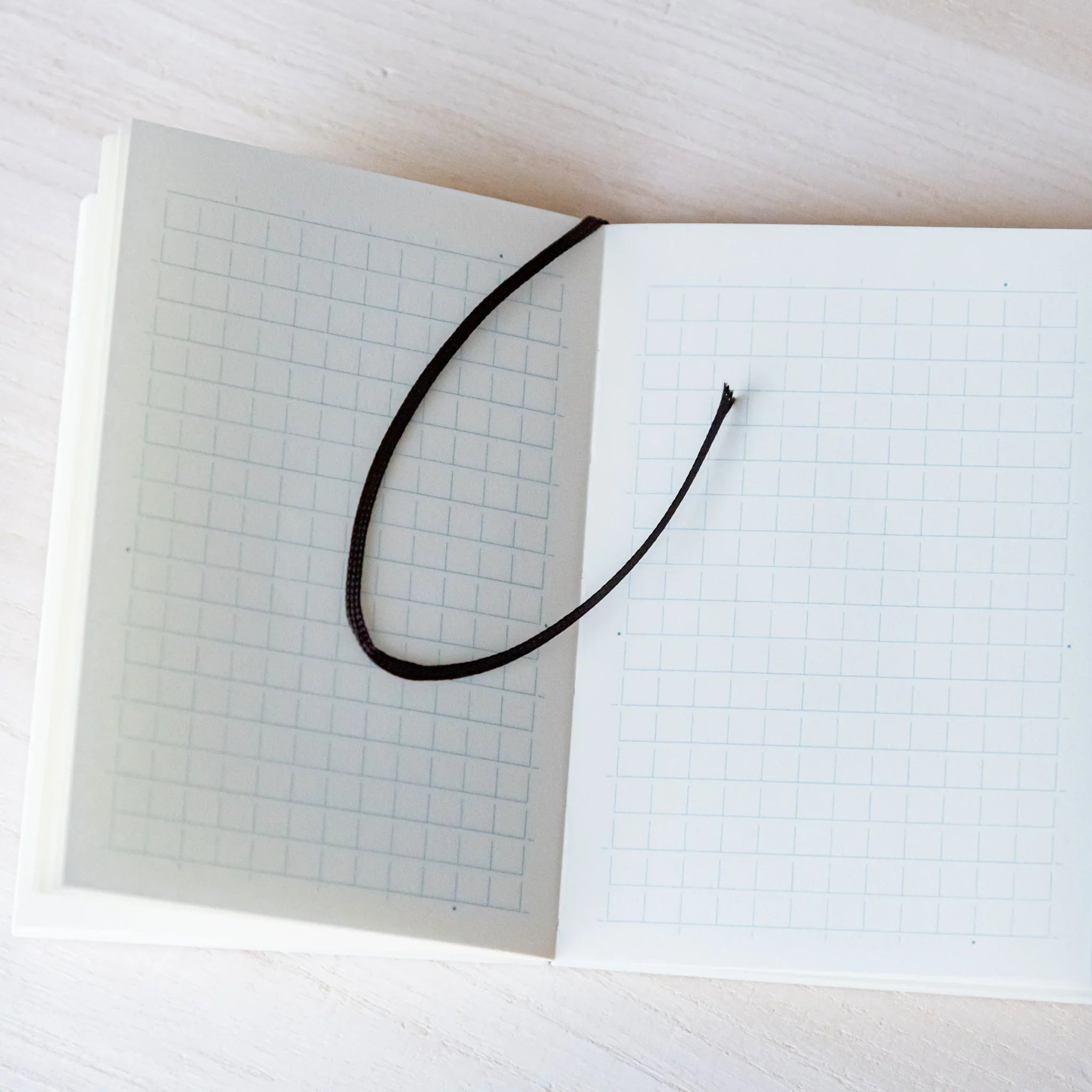 Japanese Notebook open grid pages of a Midori MD A7 notebook with a black ribbon bookmark resting across the spread.