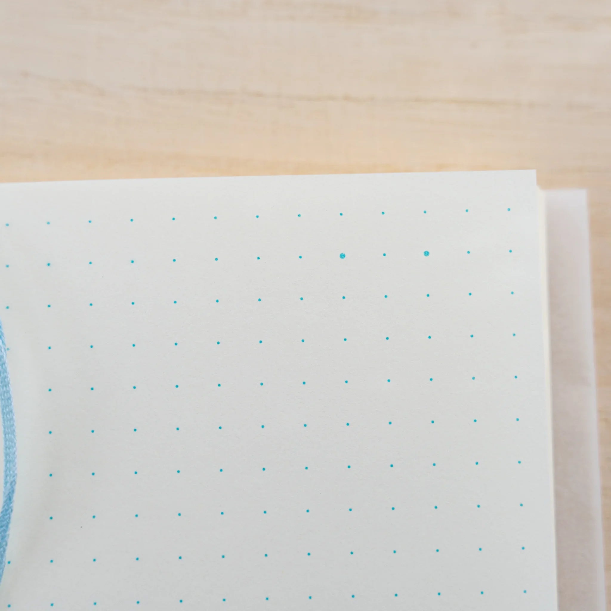 Close-up of an MD Notebook A7 dot grid page