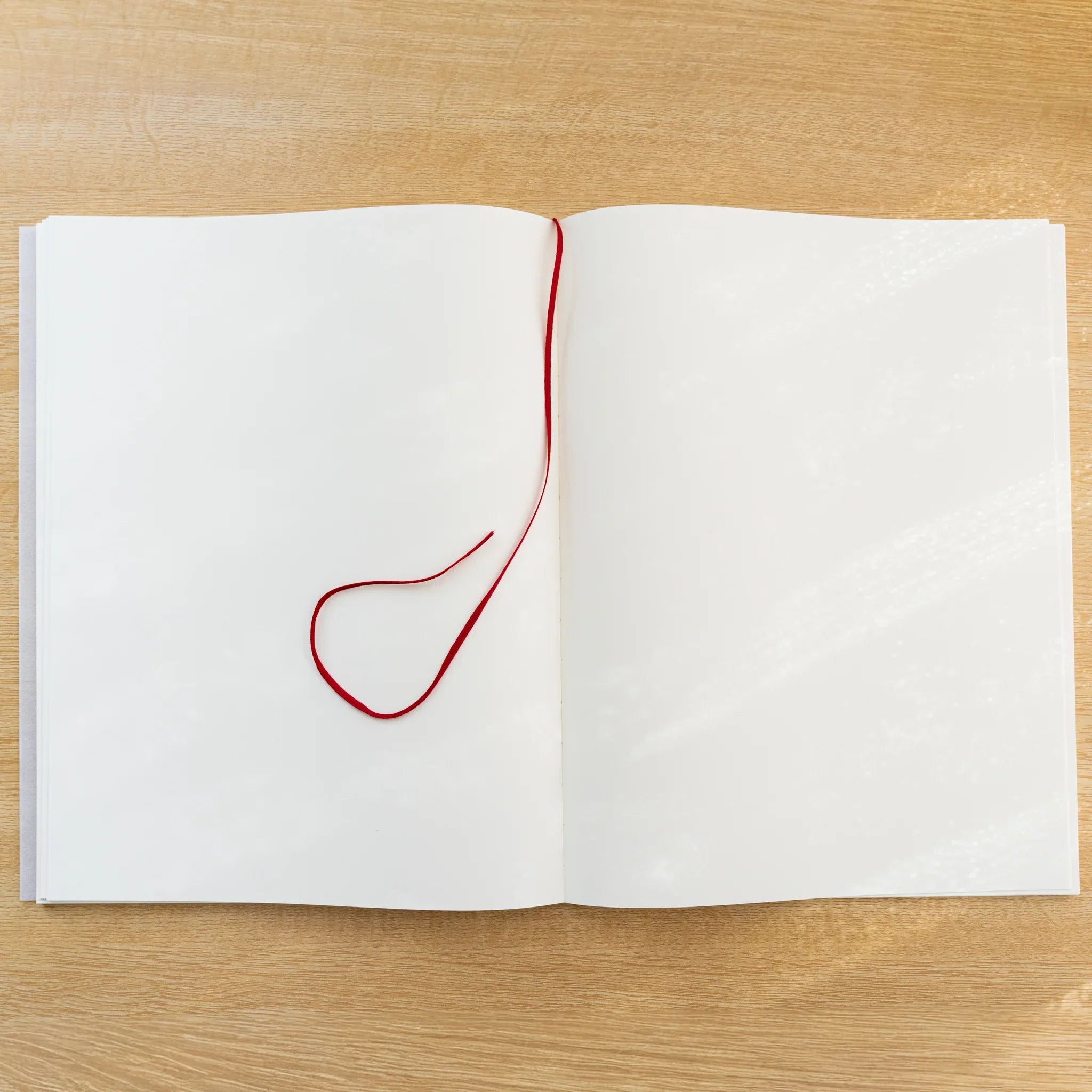 Midori MD Notebook Blank A4 Variant open flat, blank cream pages with a red ribbon bookmark on the left page