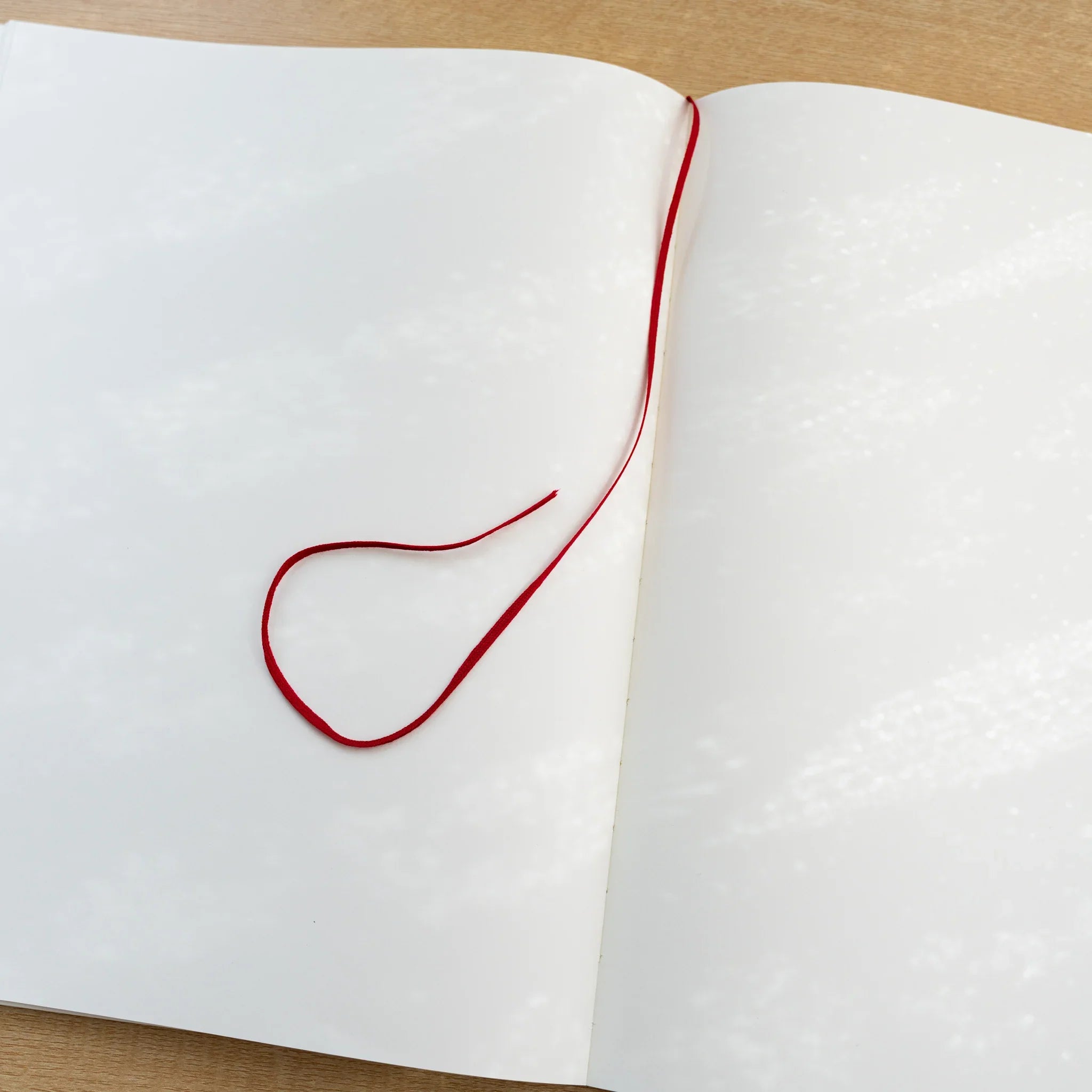 Midori MD Notebook Blank A4 Variant open at an angle, blank cream pages with a curved red ribbon bookmark