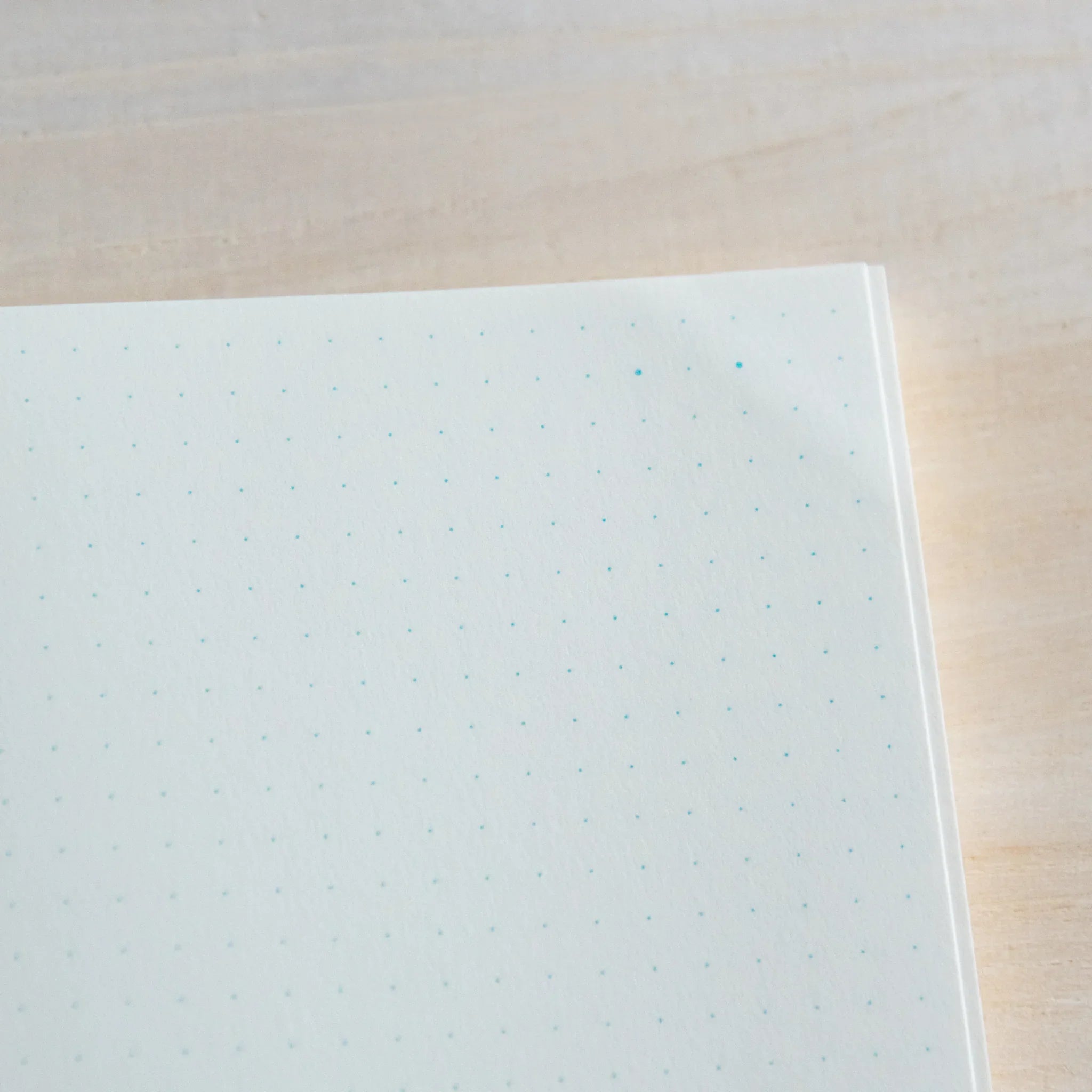 Top view of Midori Japanese journal dot grid page showing subtle blue dots on light wood background.