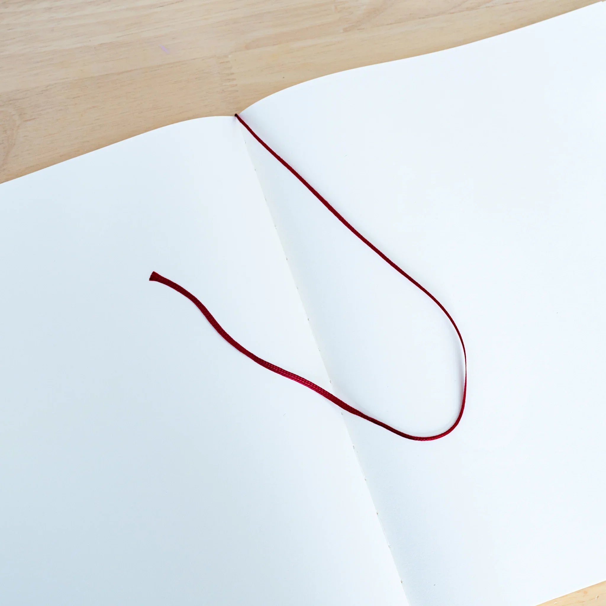 Midori MD Notebook Lined – A4 Variant