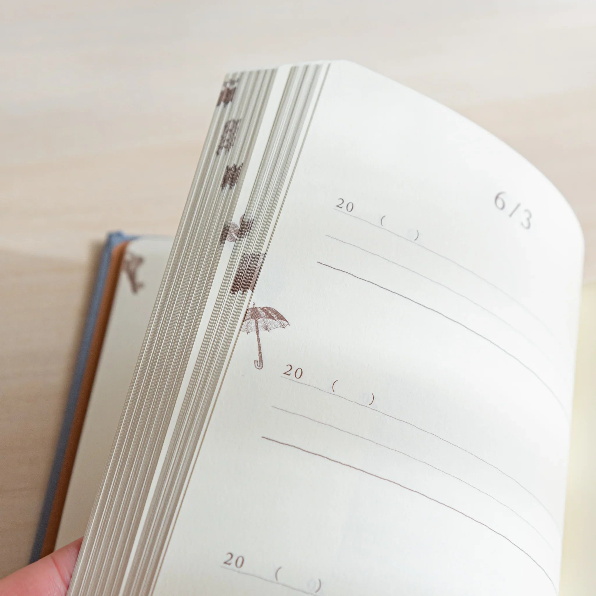 Japanese journal Midori 3-year diary close-up of page edges with umbrella motif and June 3 lined entry page.