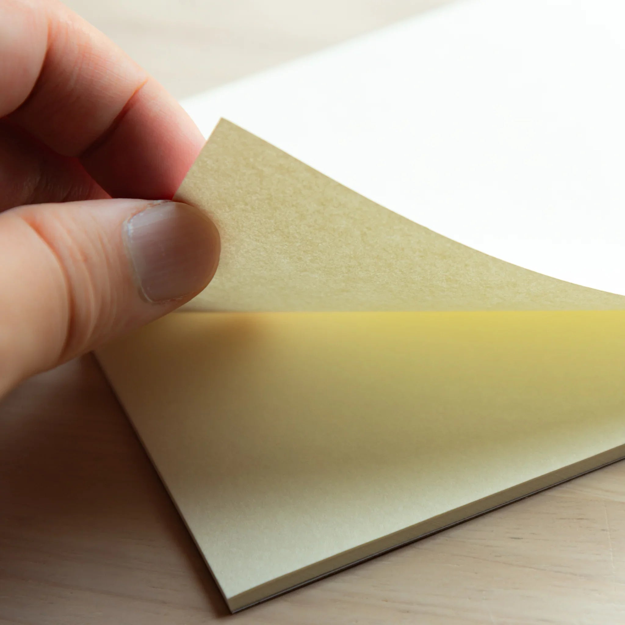 Paper Tasting egg shell vol 3 papers, showing natural cream and white paper samples in organized display