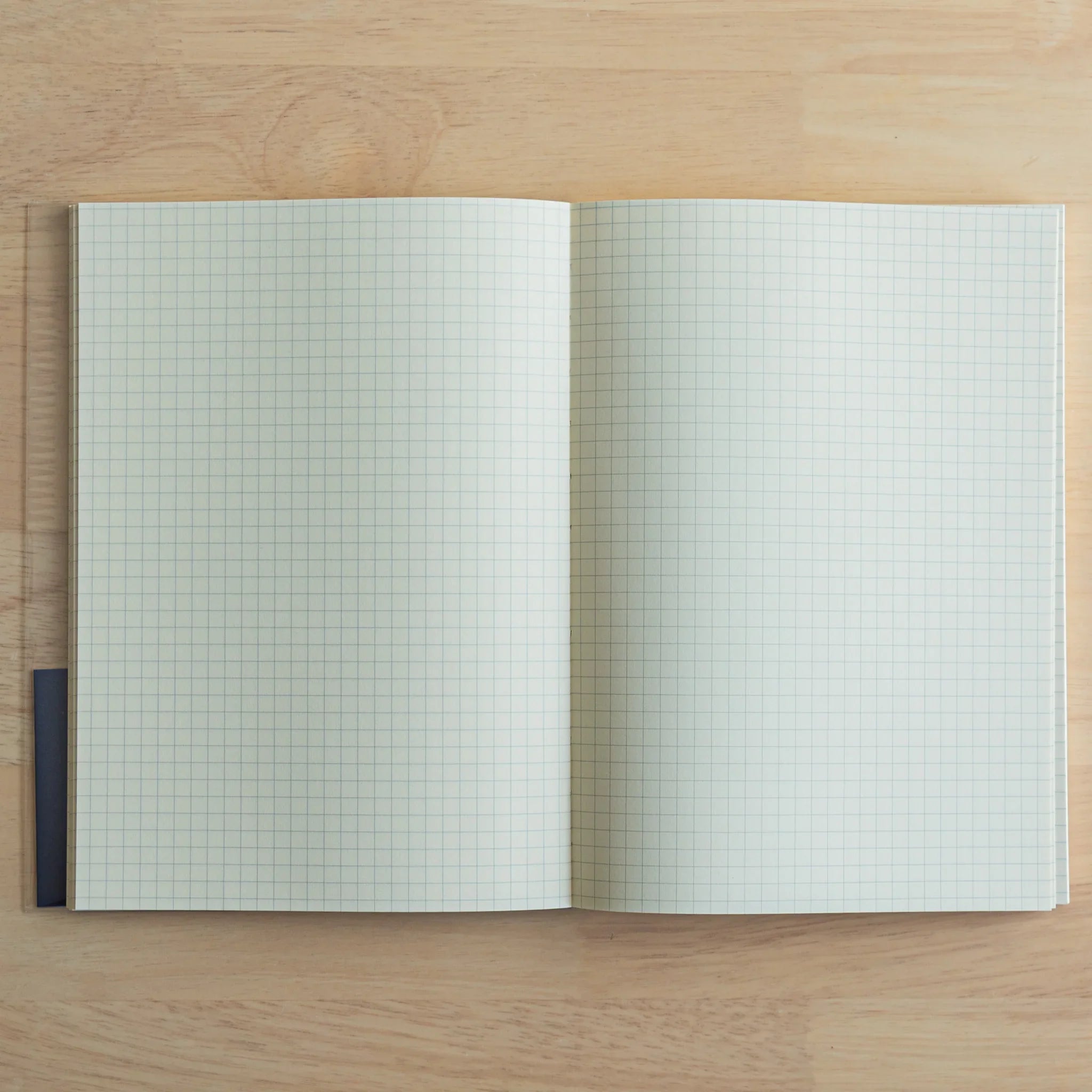 Apica Premium CD fountain pen notebook A5 cream color showing soft cover and quality interior blue ruled page design