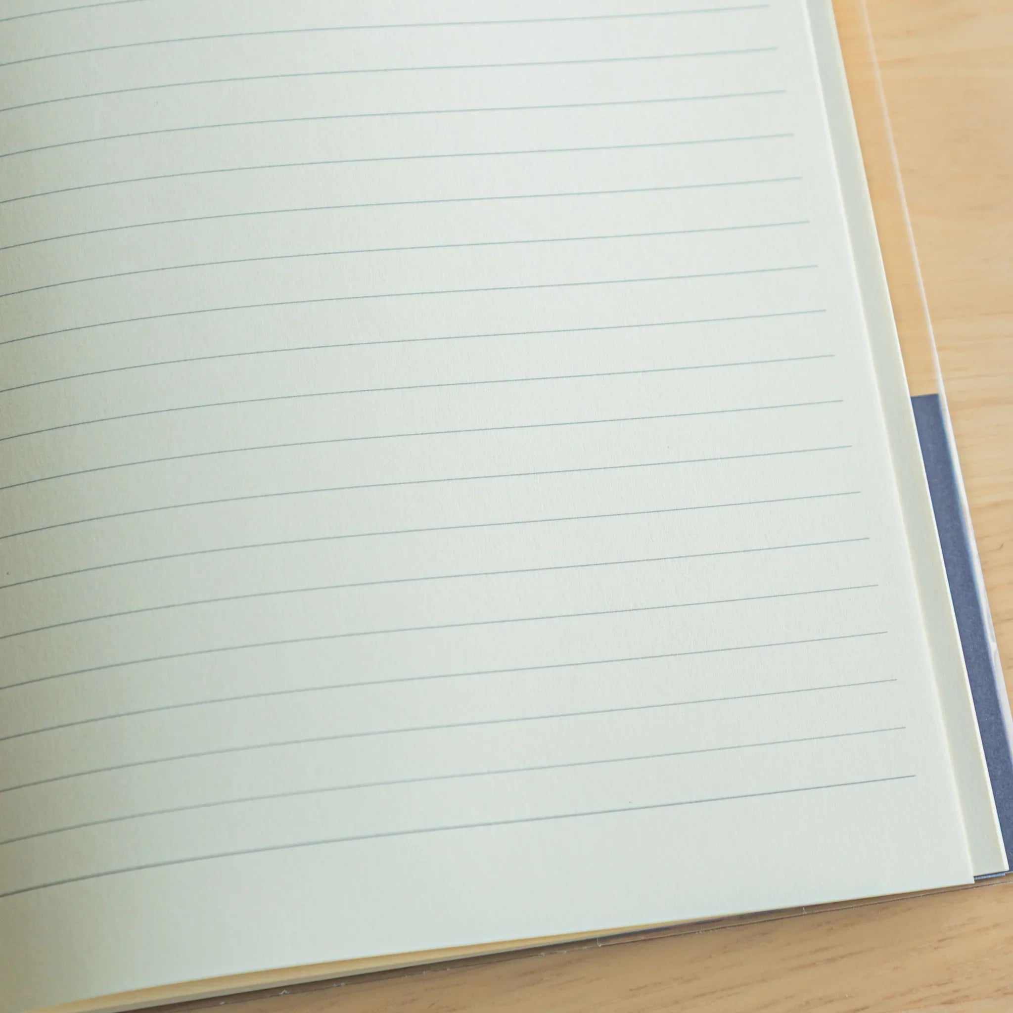 Premium CD A5 fountain pen notebook cream color showing open interior with blue-tinted ruled pages, Japanese stationery