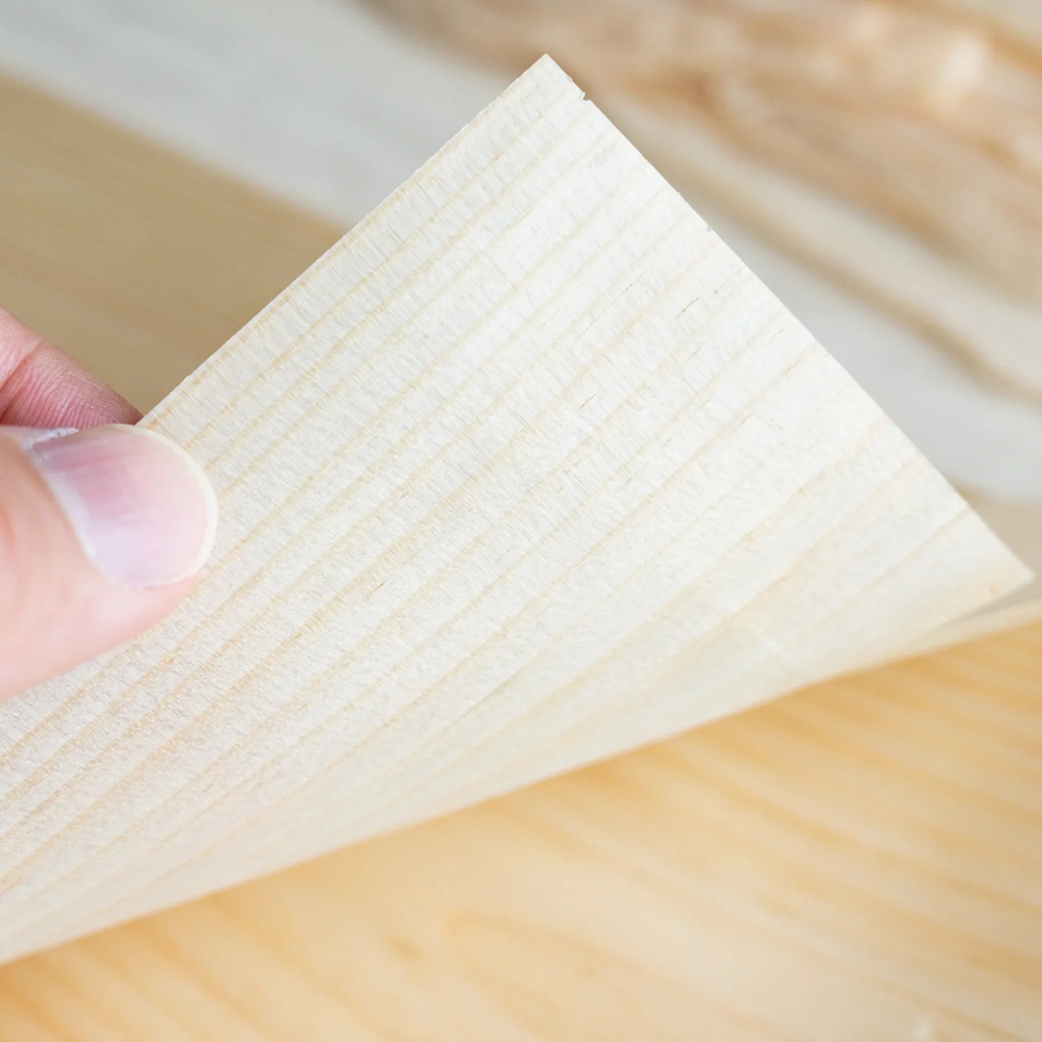 Hand bending a thin Red Pine Wood Sheet, showing flexible paper-like thinness and fine straight grain