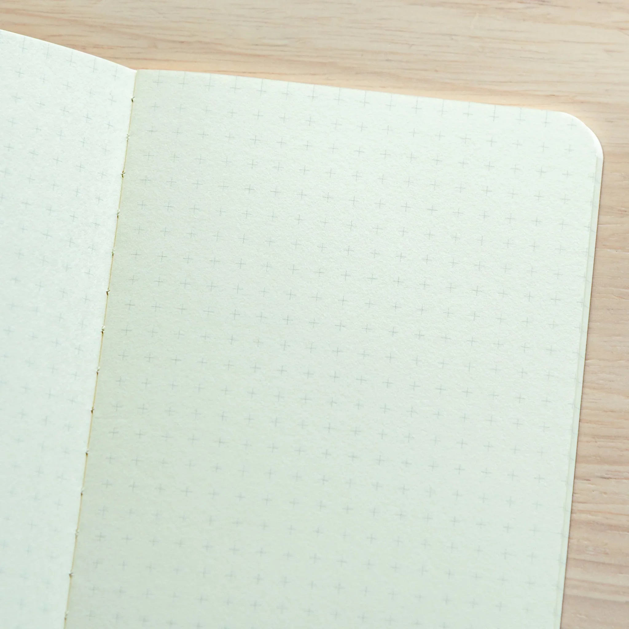 Close-up of Japanese Notebook RO-BIKI Basic Series – 5 mm Reticle Grid interior paper with reticle pattern beside Japanese Fountain Pen.