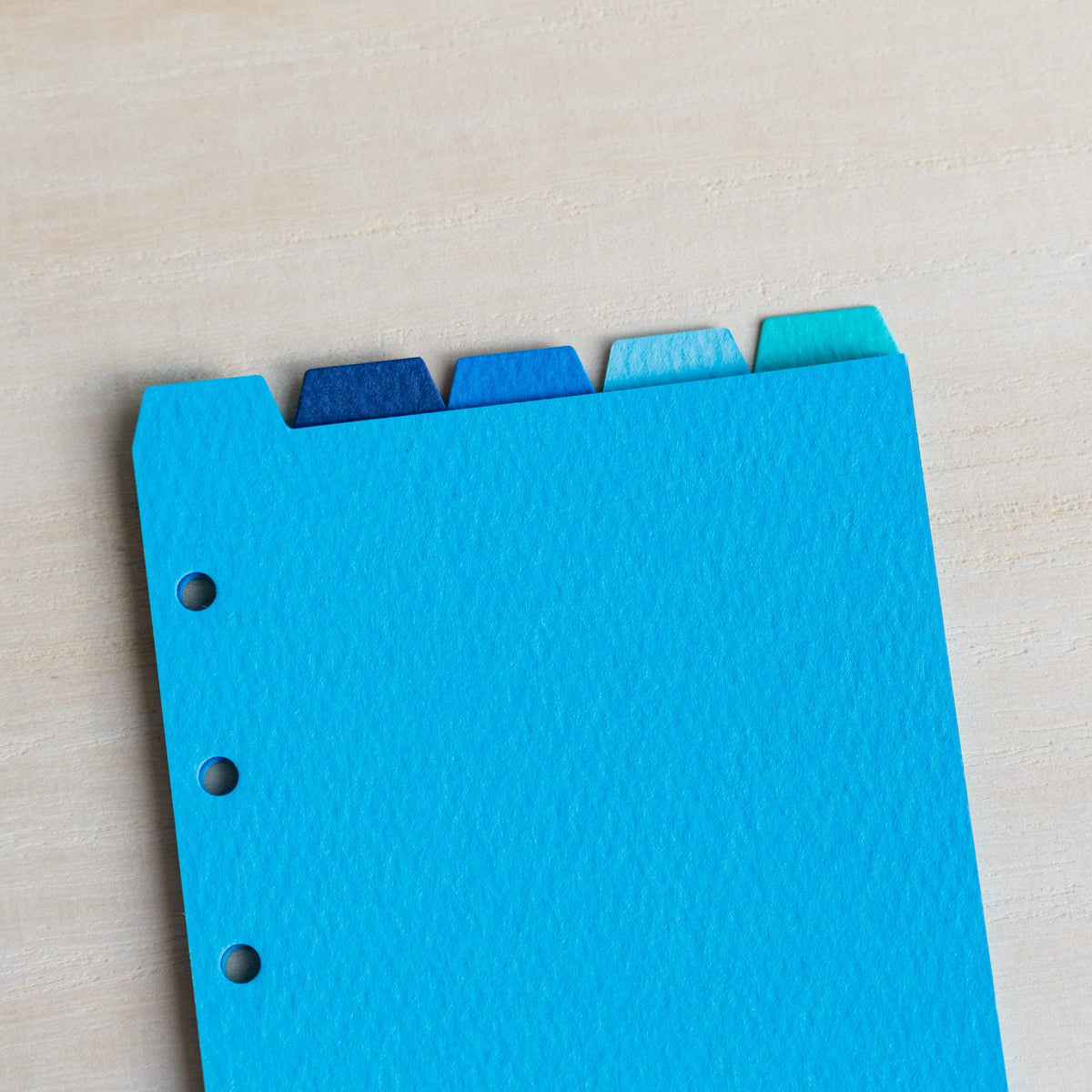 Close-up of a sky blue Mermaid Mini 6 divider with staggered blue top tabs and punched holes